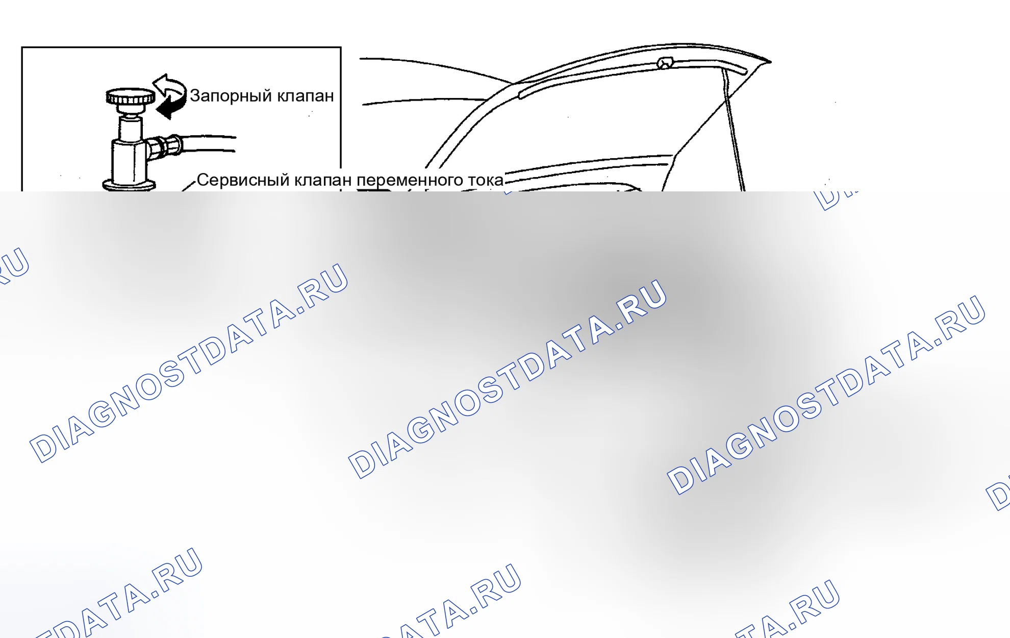 Рис. 240. Nissan Murano Z50