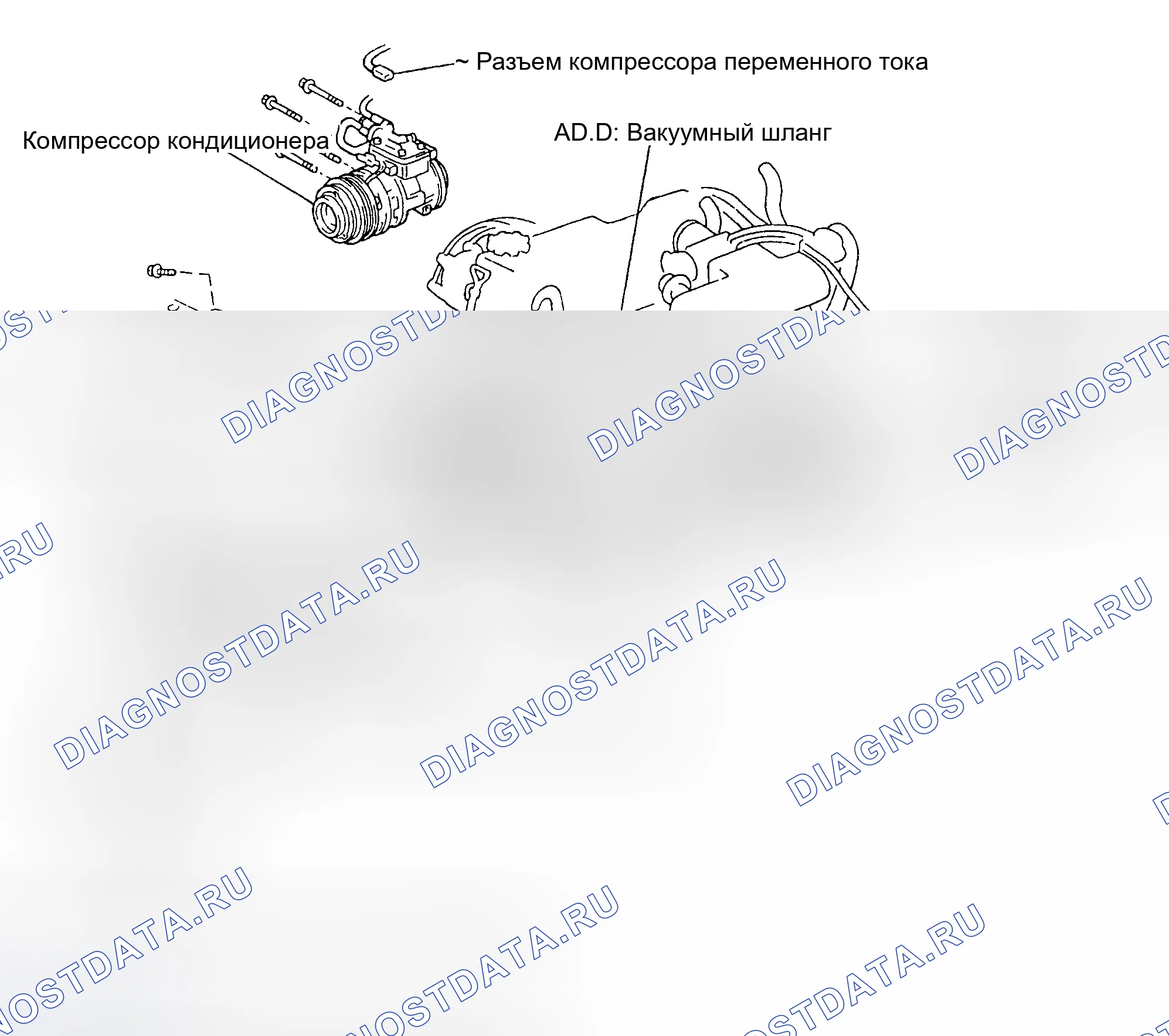 Рис. 13: Прокладка приводного ремня (Tacoma, 4Runner и T100 1995-96). Toyota Avalon XX10