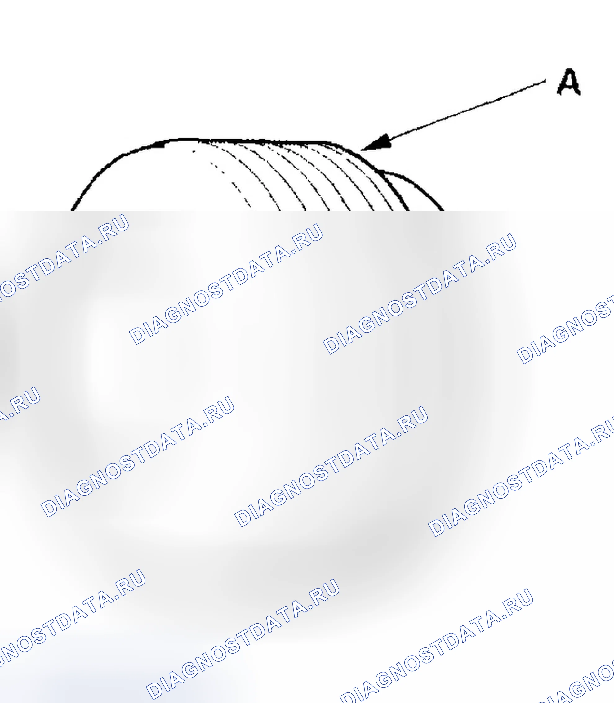 Рис. 4. Honda Civic VII