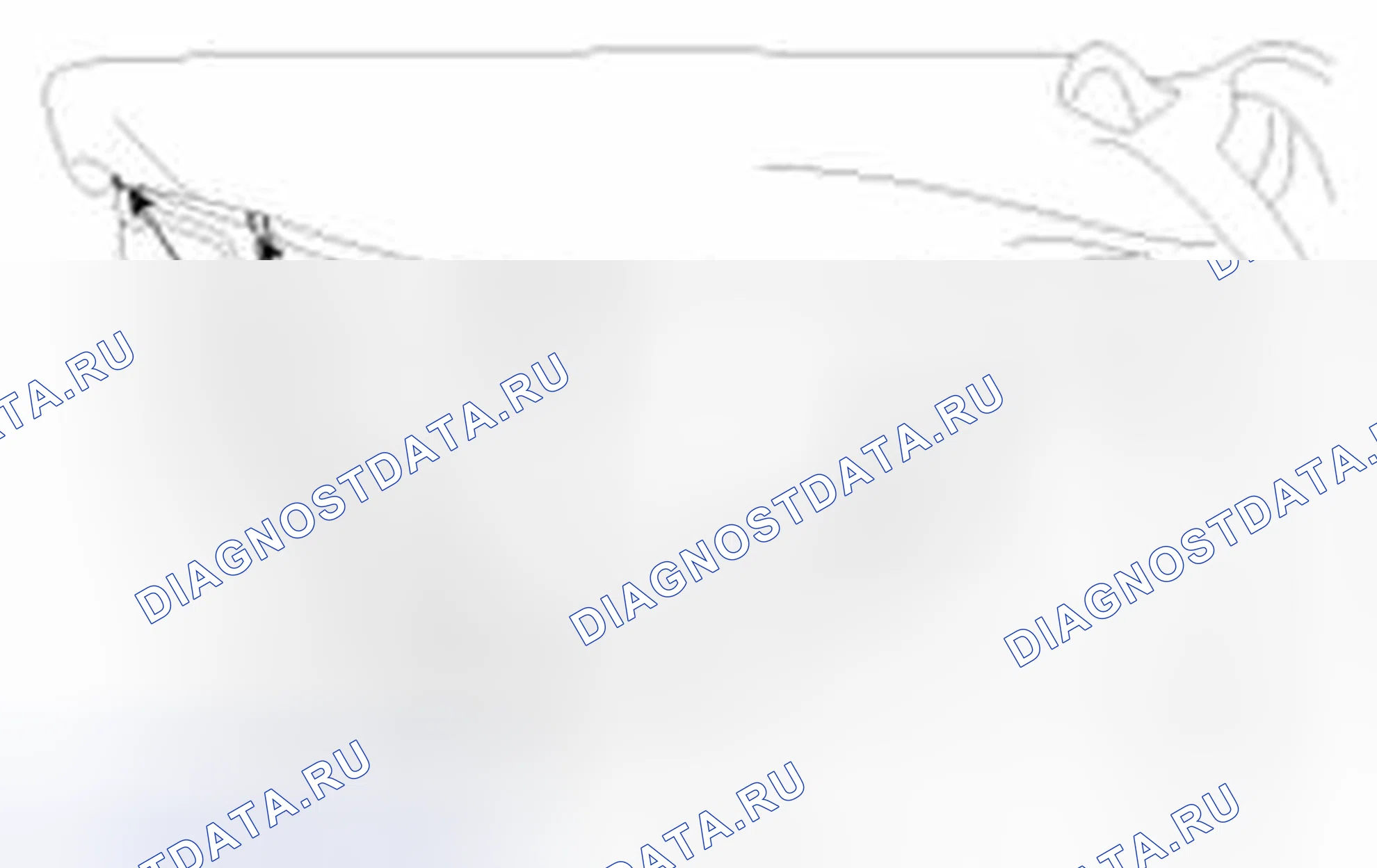 Рис. 36. Haval Beast (Shenshou) I