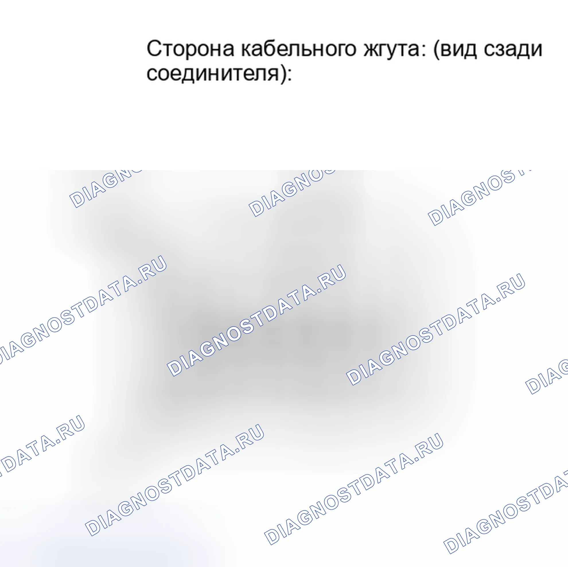 Рис. 383: ОСМОТР ТРАНСПОРТНОГО СРЕДСТВА. Haval H4 I