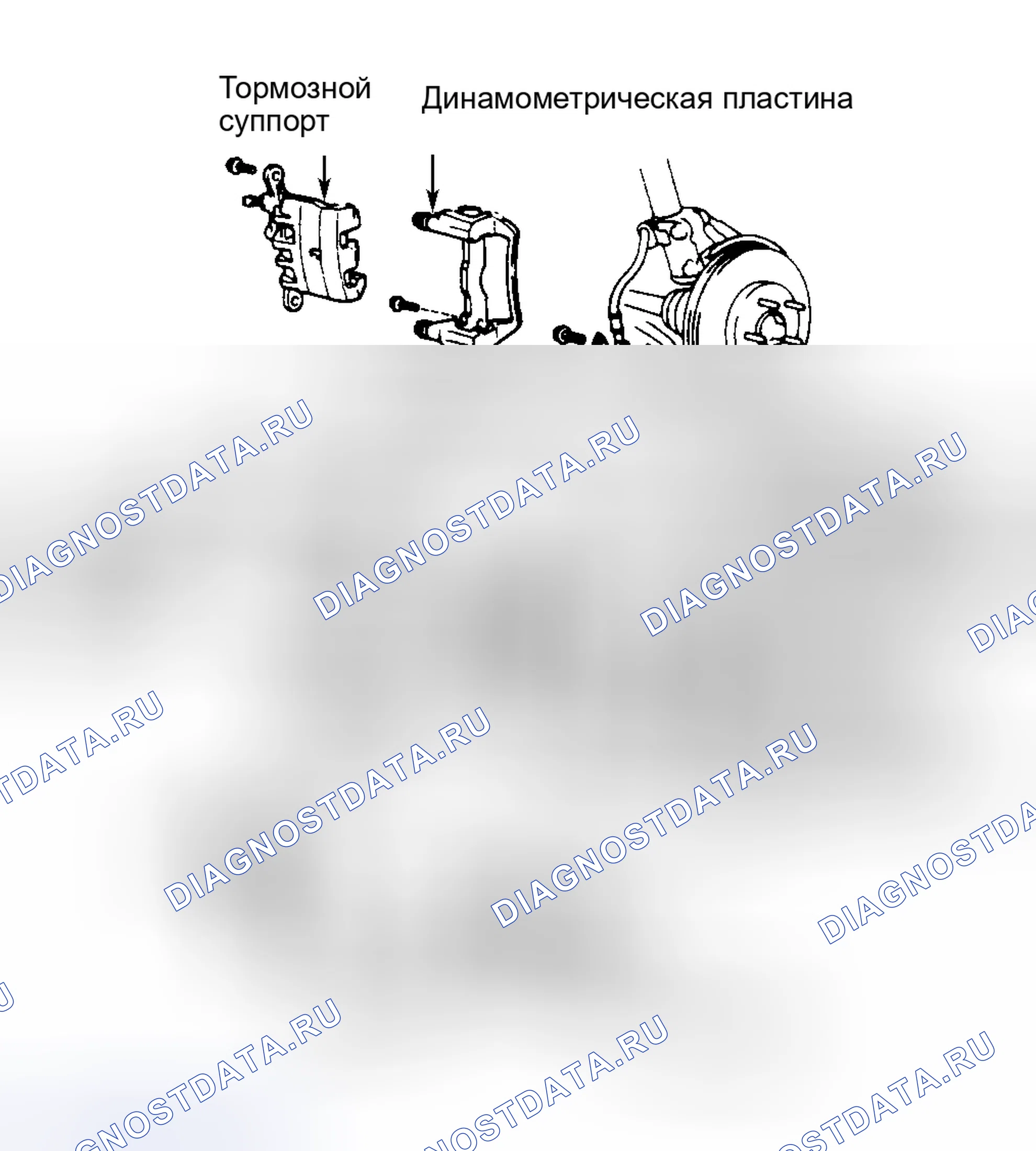 Рис. 2. Toyota Avalon XX10