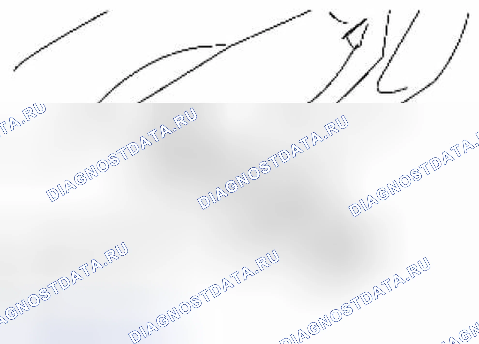 Рис. 13. Suzuki Equator I