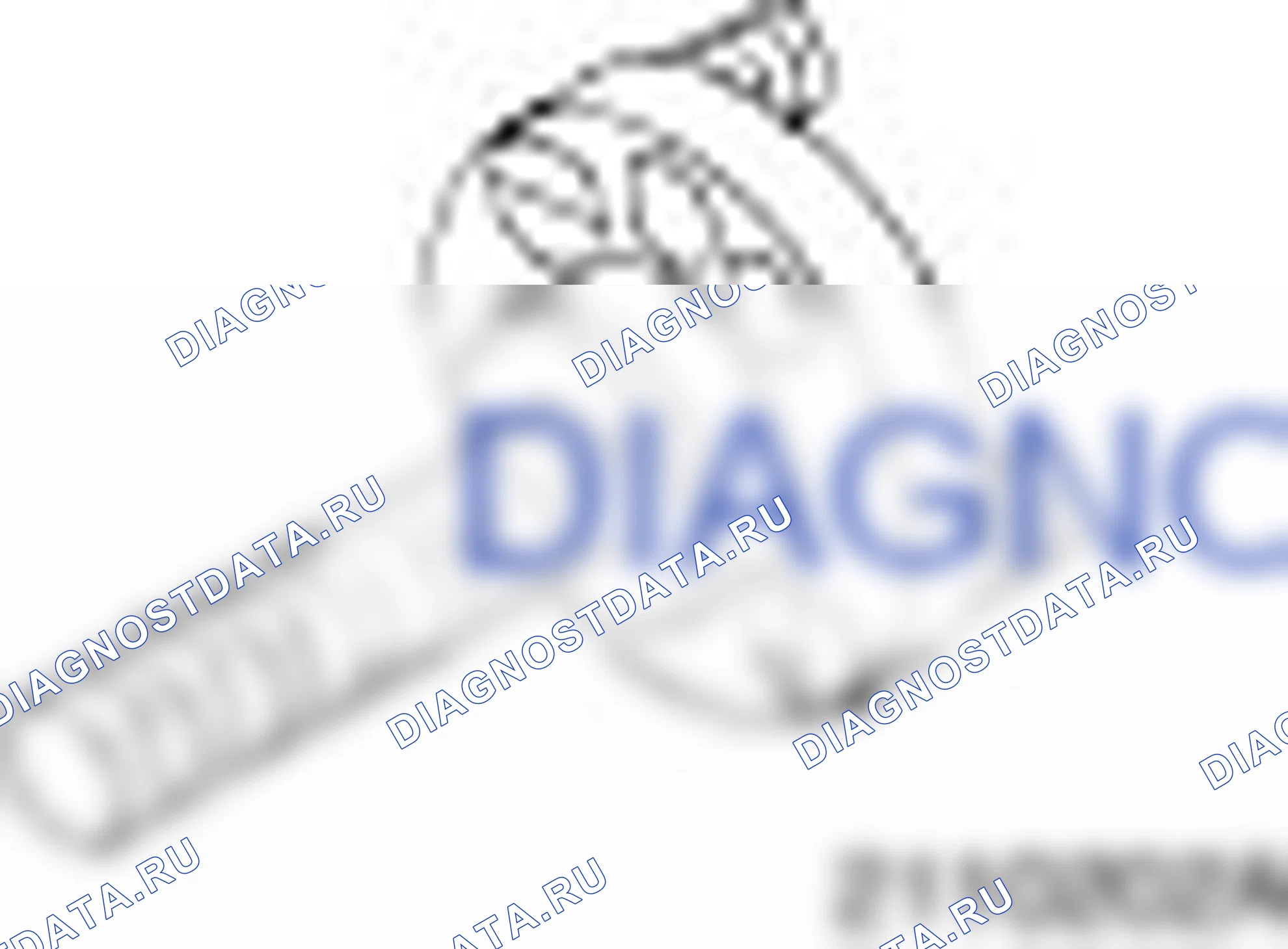 303-171-02 (21-102-02A) - Адаптеры для 303-171-02. Ford Ikon I