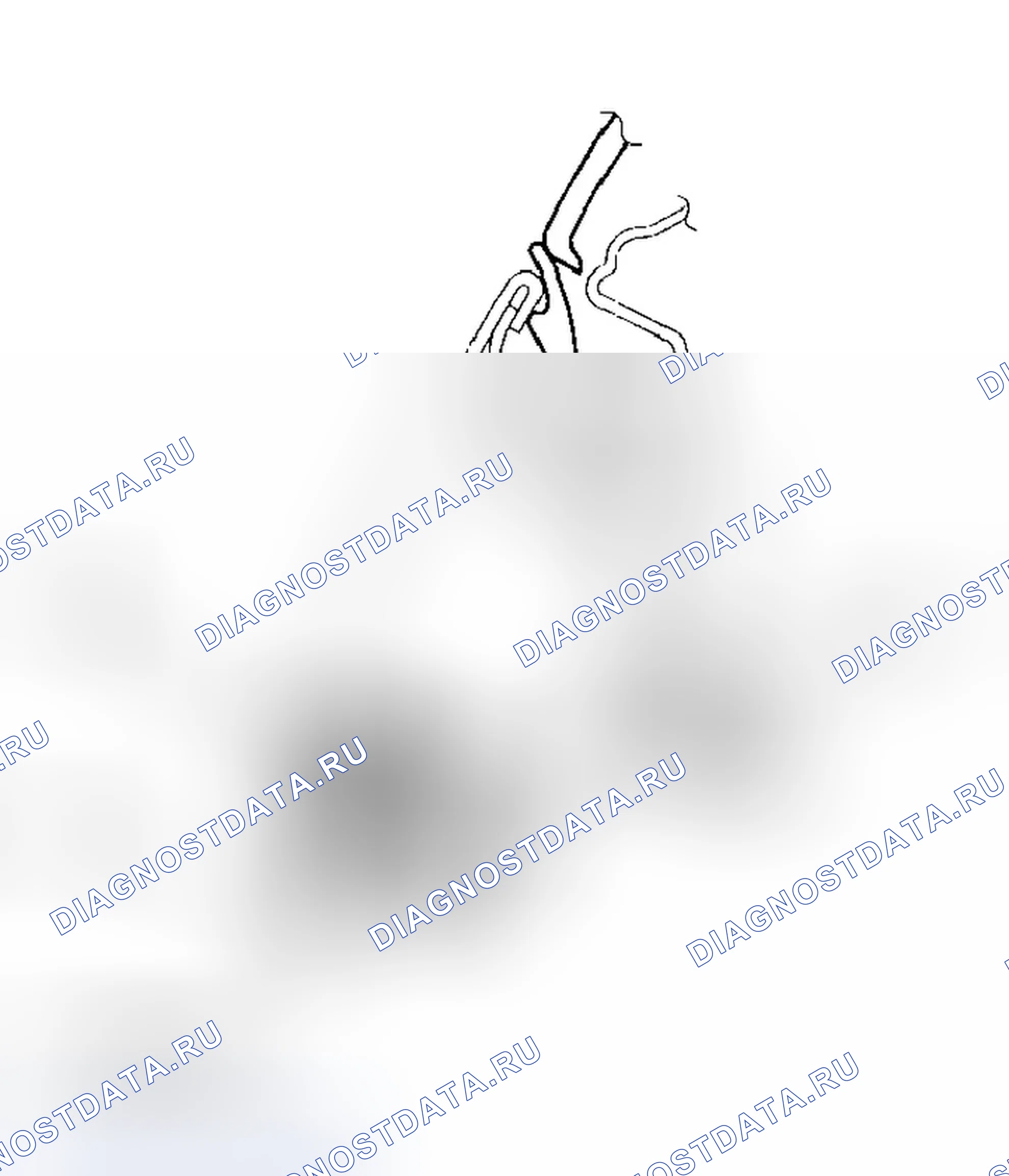 Рис. 6. Honda Element YH2