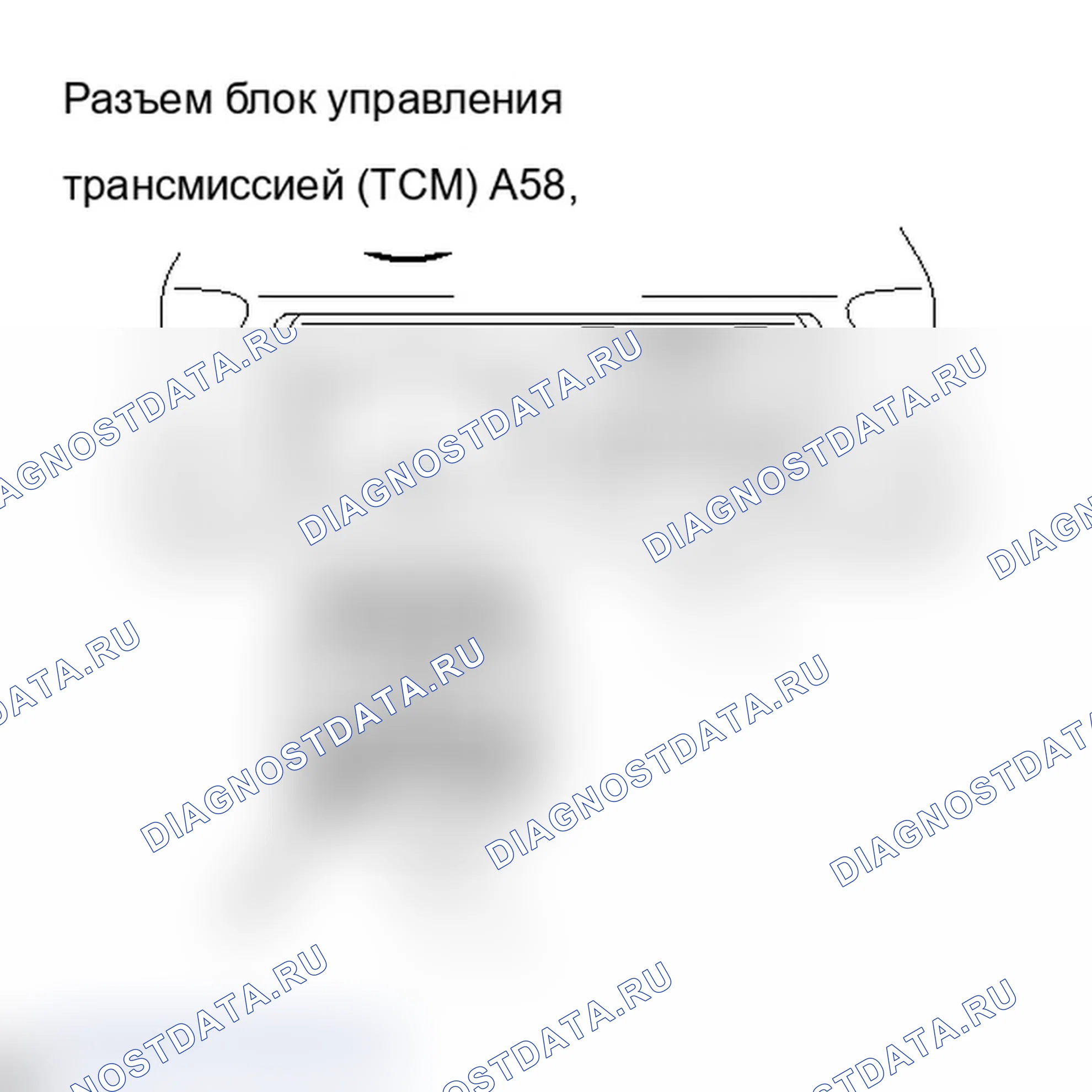 Рис. 391. Lexus IS F I