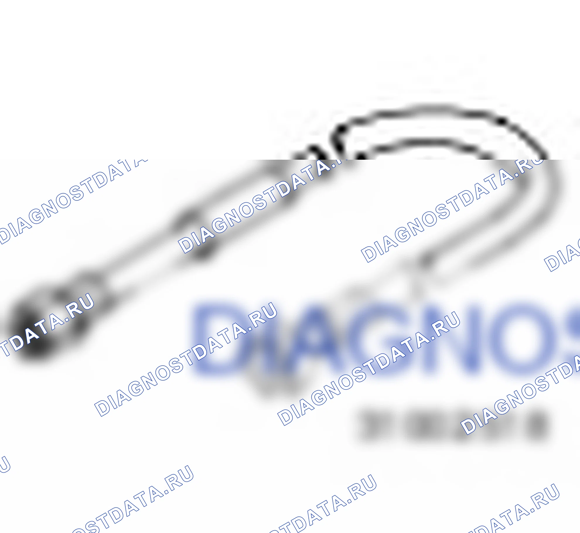 310-025-18 — Испытательный шланг для 310-025. Ford Ranger T6