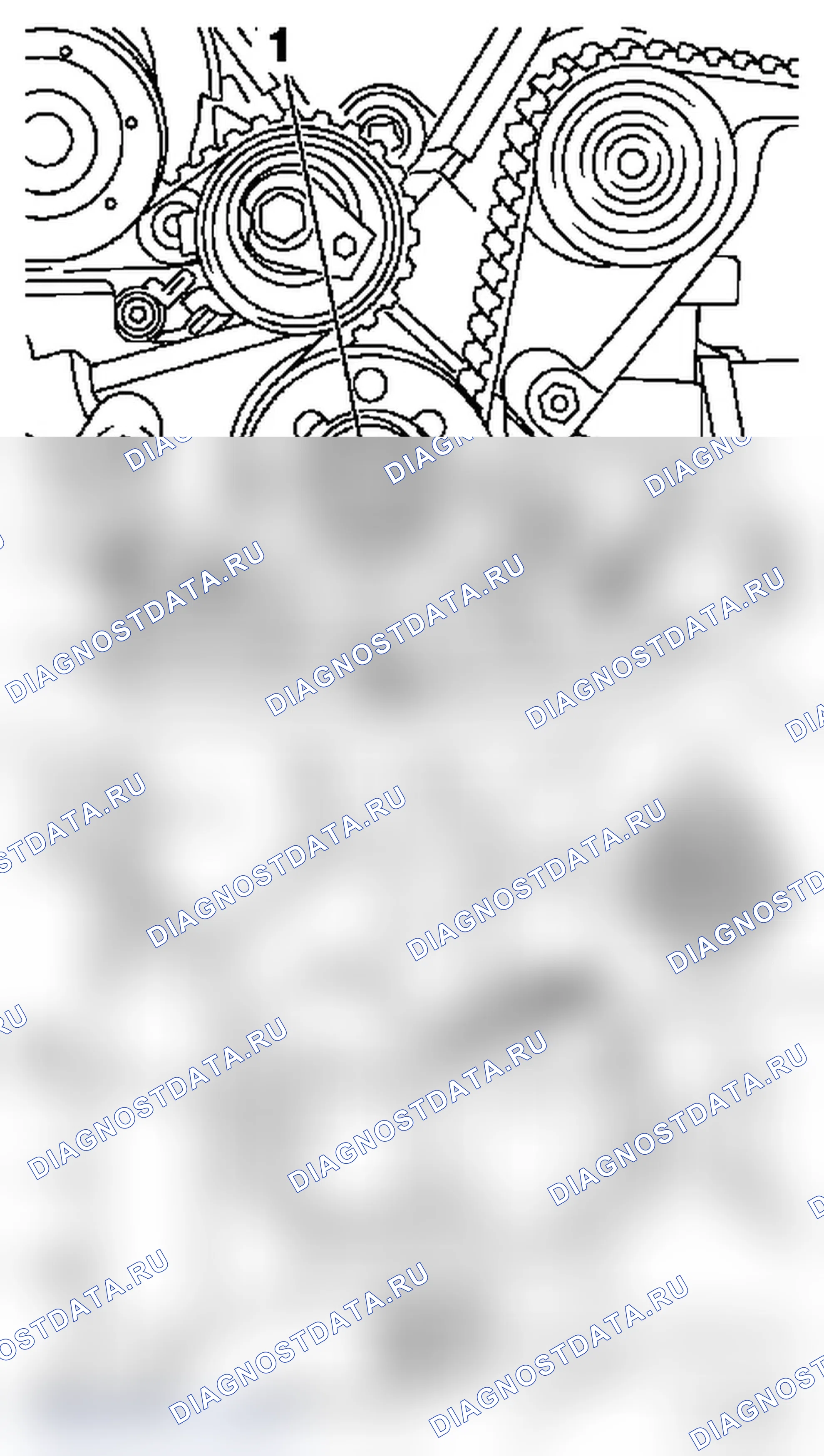 Регулировка фаз газораспределения. Opel Astra G