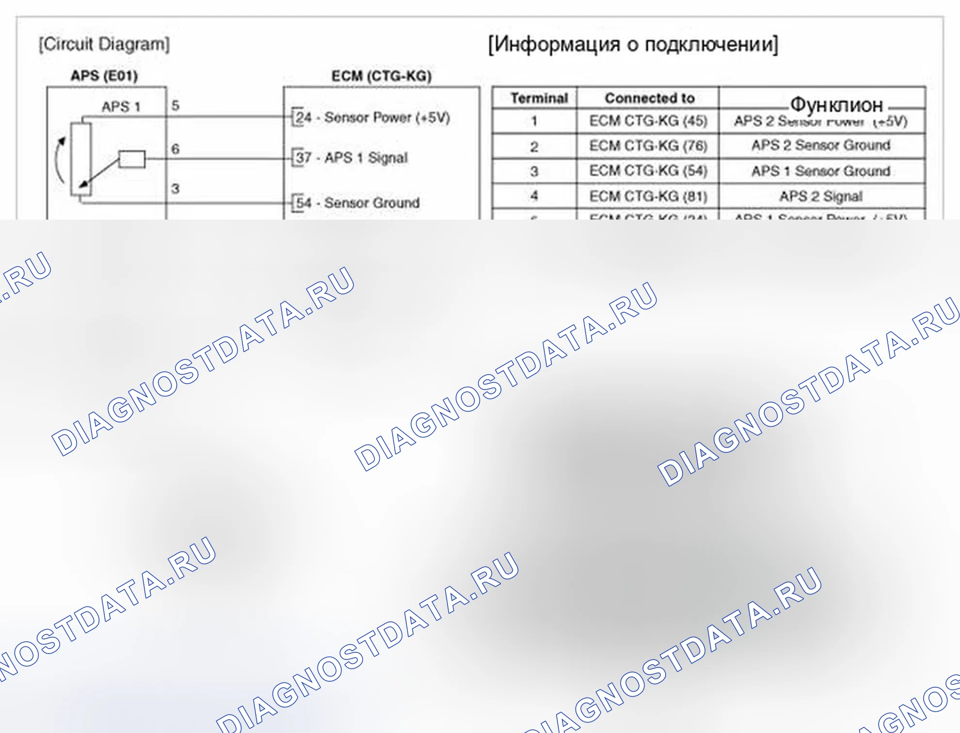 Рис. 341: Принципиальная схема. Hyundai Genesis I рестайлинг