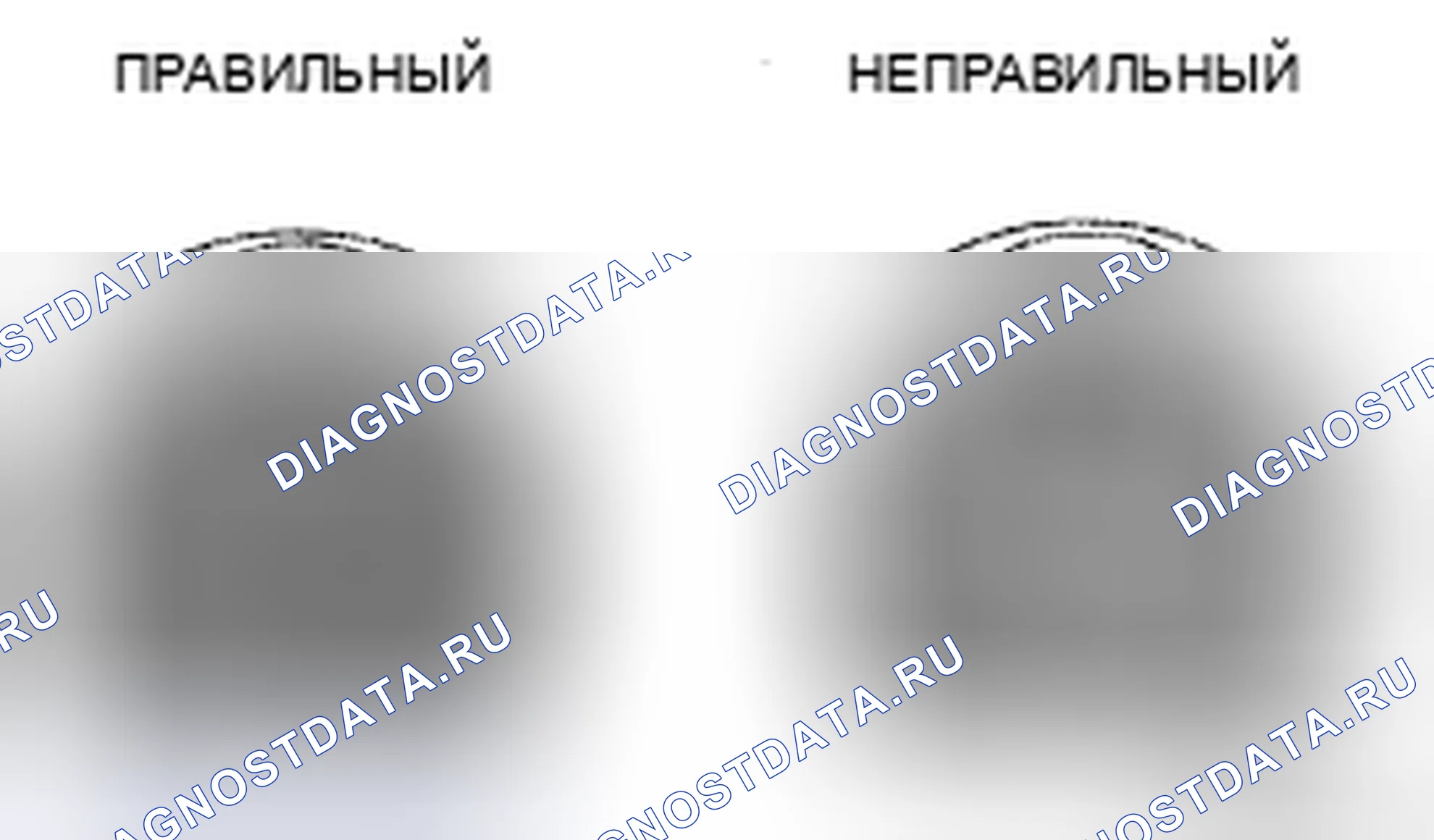 Рис. 13. Honda CR-V VI