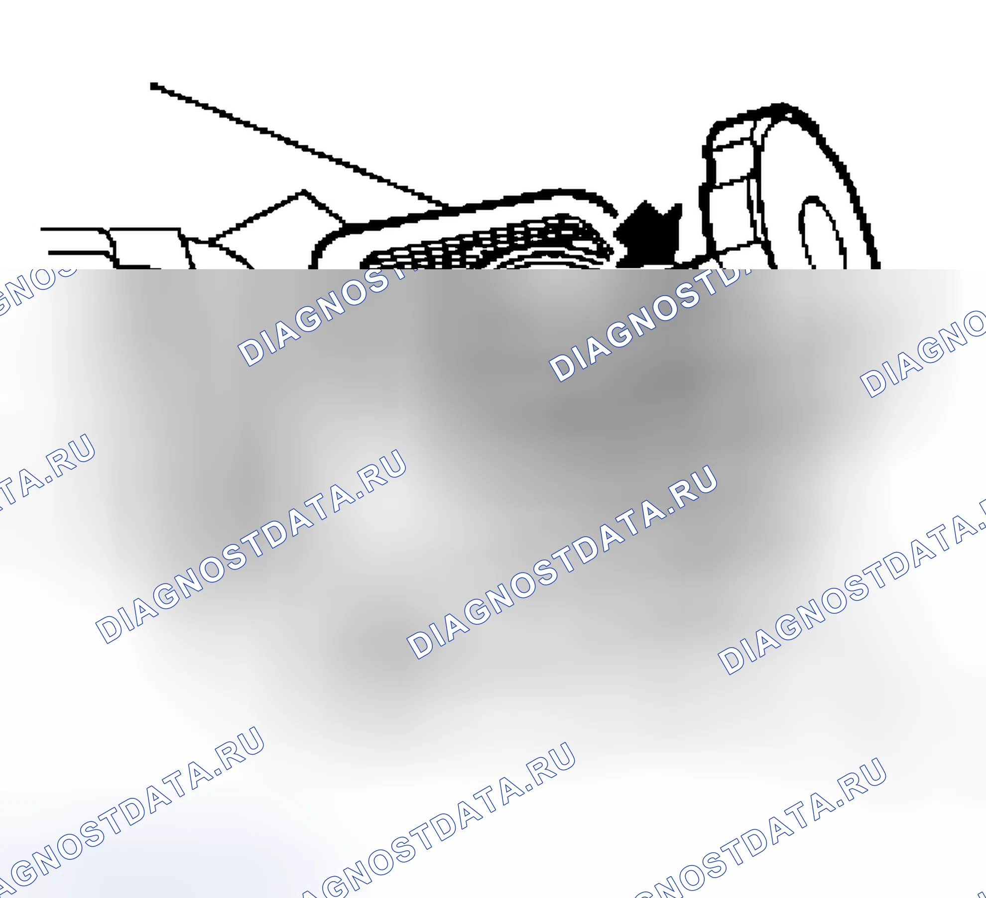 Рис. 12: Контрольный долив - PAS-коллектор. Land Rover Range Rover III