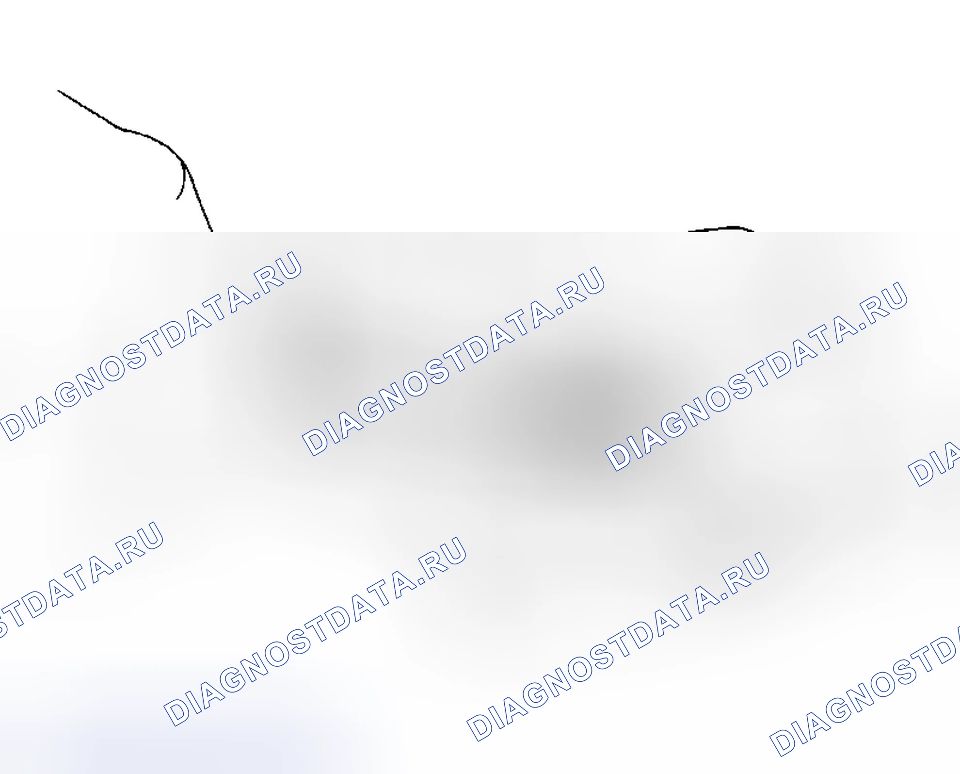 Рис. 329. Haval Xiaolong Max I
