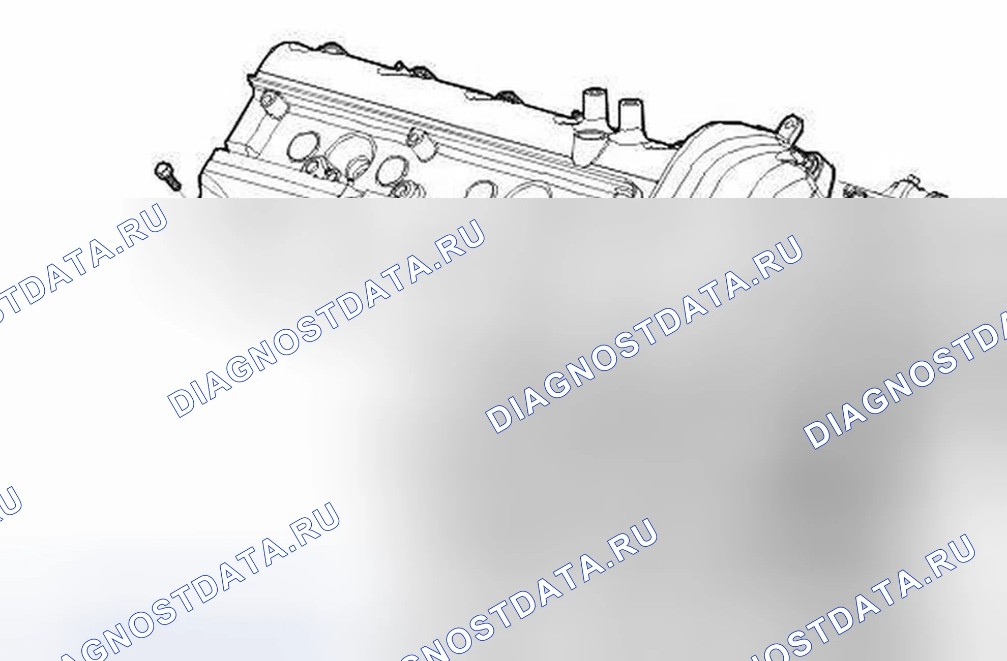 Рис. 421: Крышки распределительного вала. Jaguar XKR II