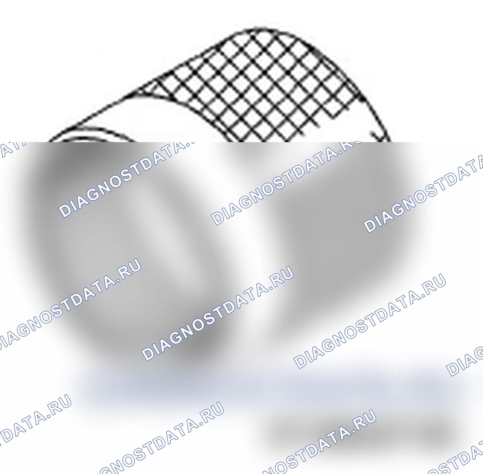 Рис. 185. Subaru Impreza WRX GH