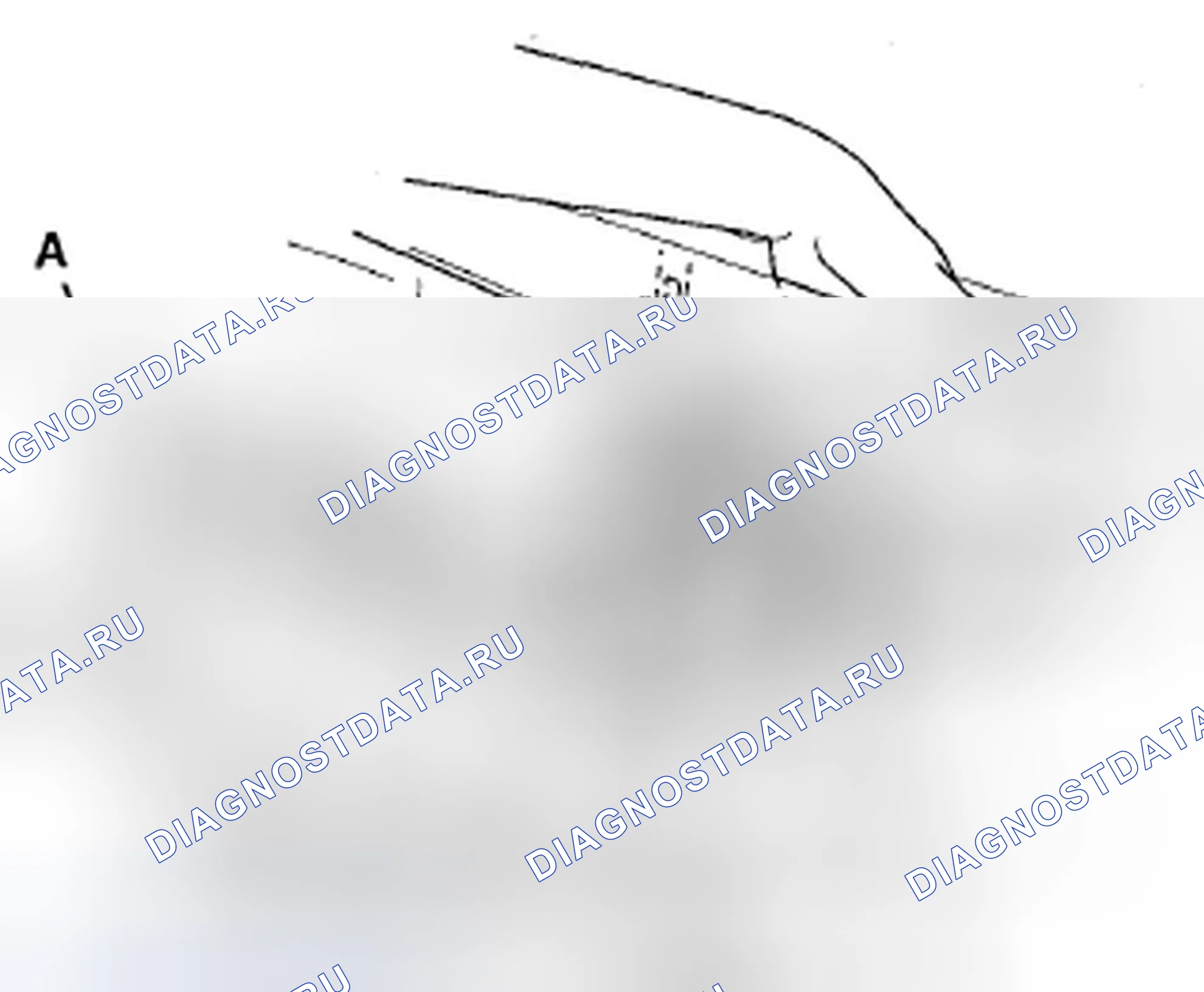Рис. 895: С Premium Audio. Acura TSX II