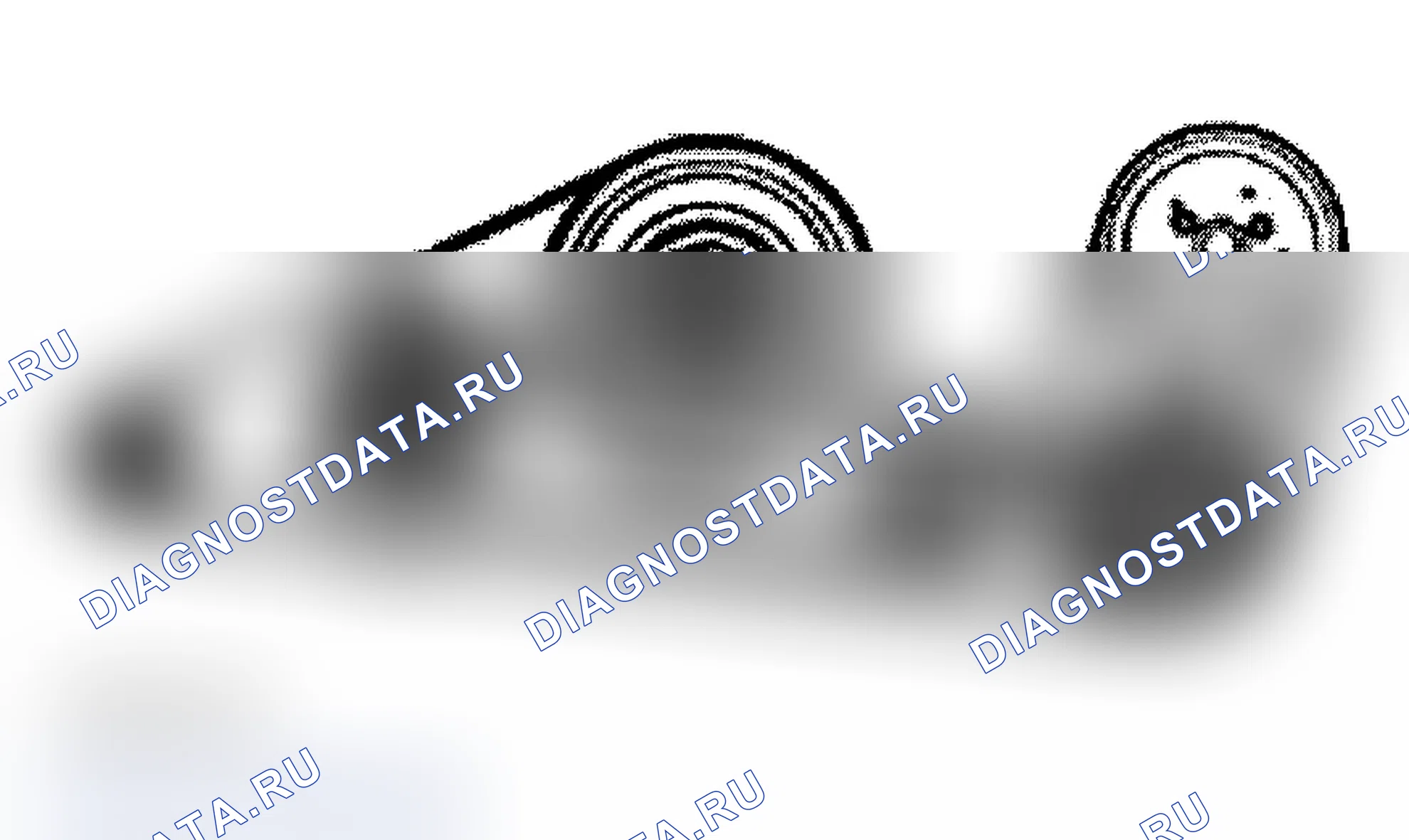 Рис. 8. Audi A6 C5 рестайлинг