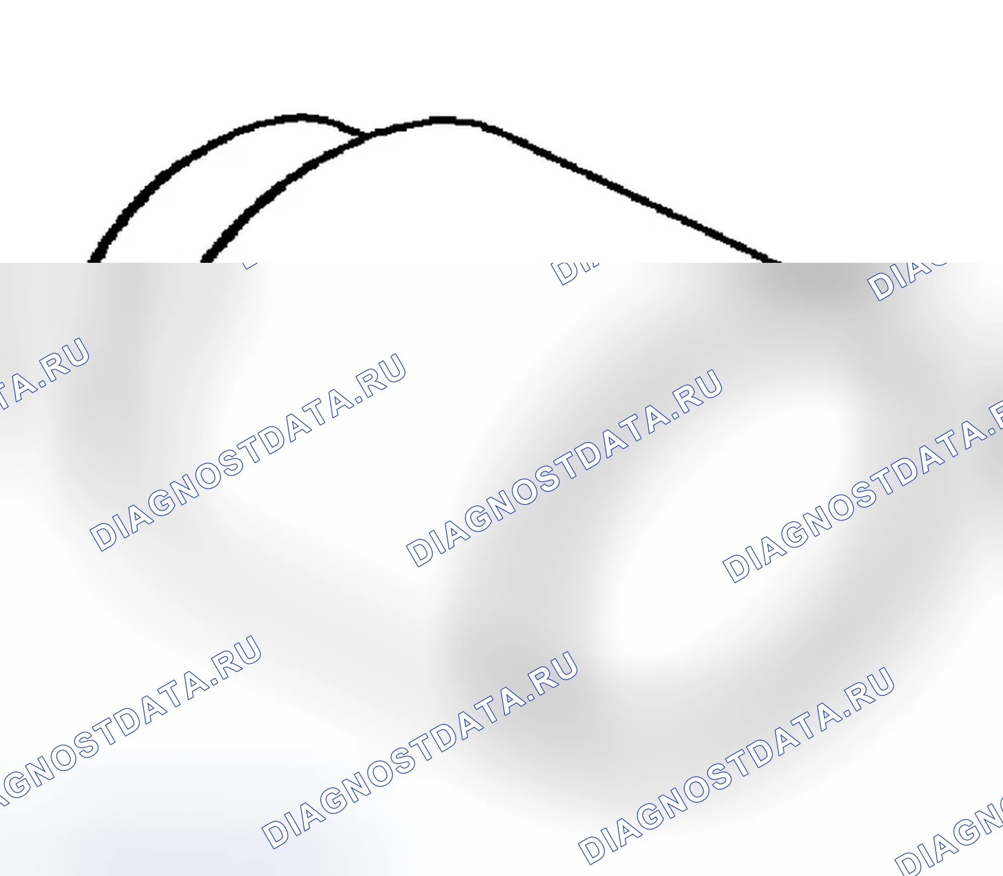 Рис. 6. Dodge Dakota III