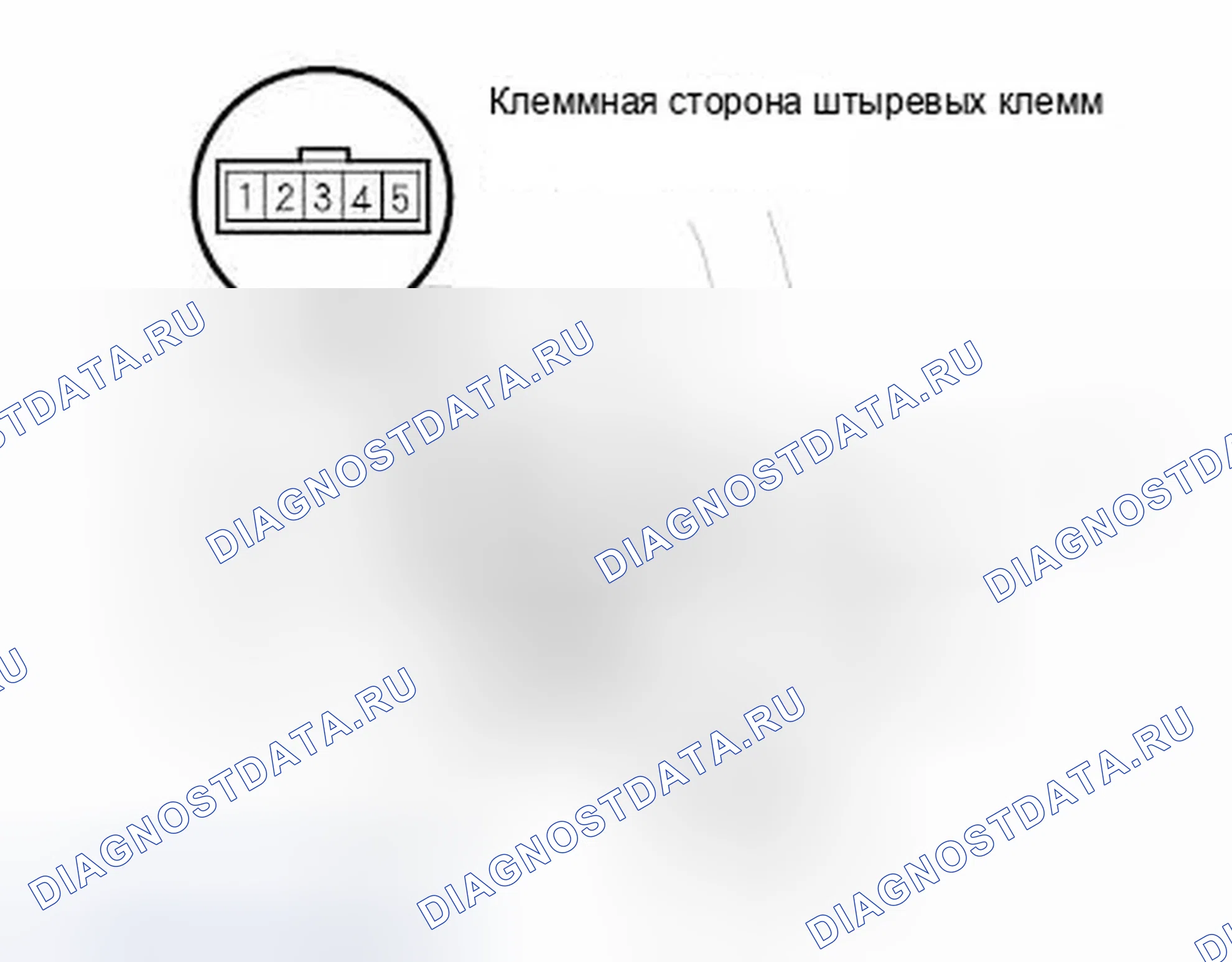 Рис. 9: ' 09-11 Модели. Honda Element YH2 рестайлинг
