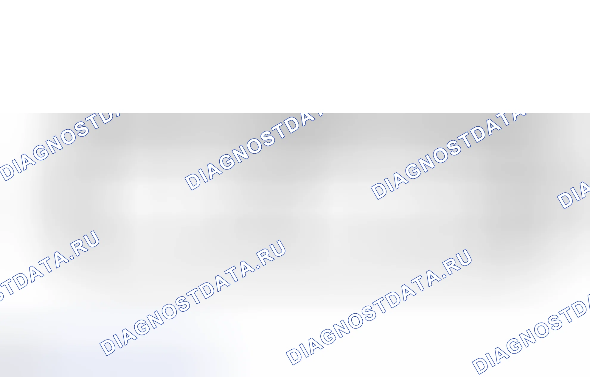 Рис. 210. Haval Raptor I