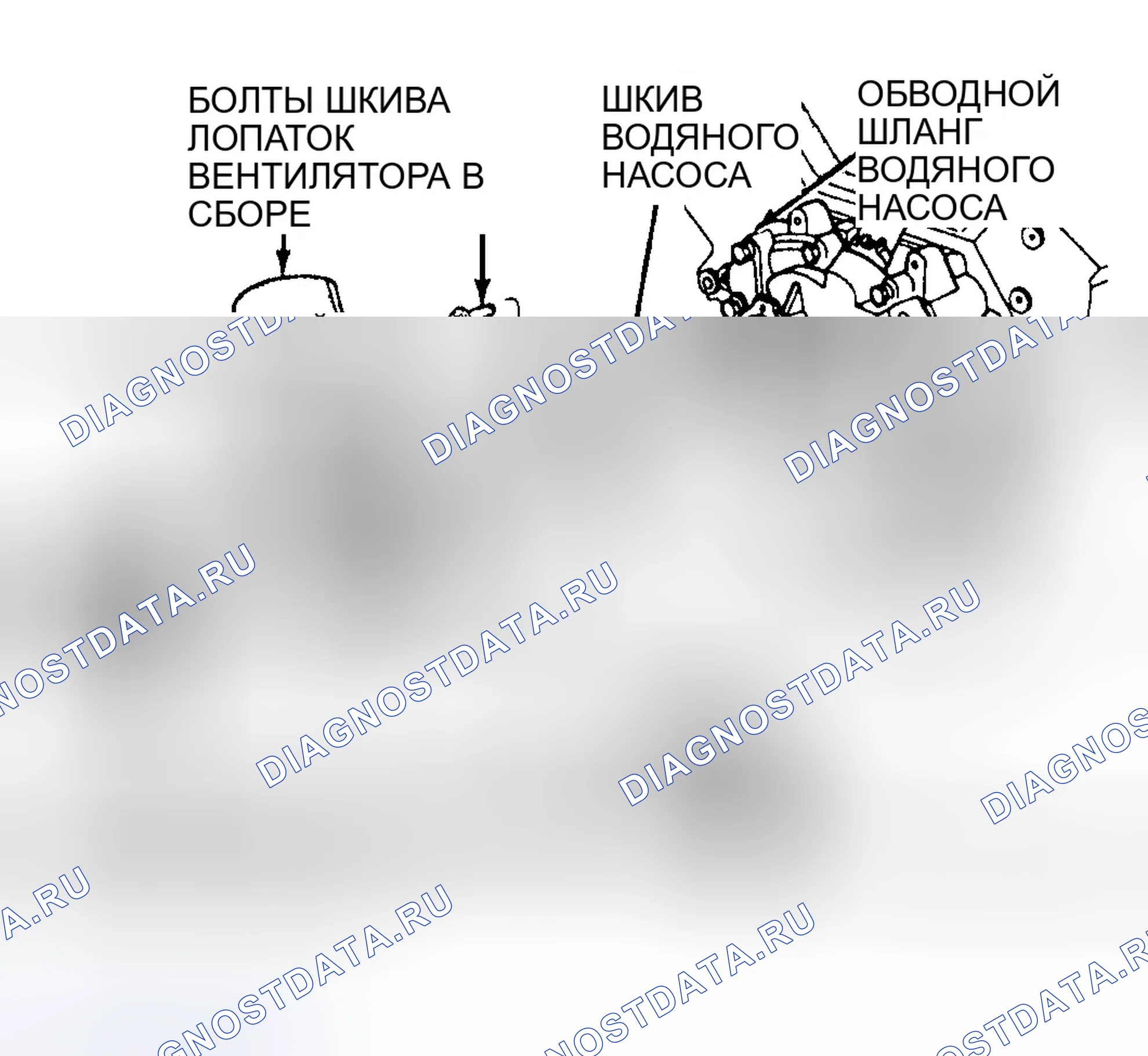 Рис. 63. Dodge Dakota WS 