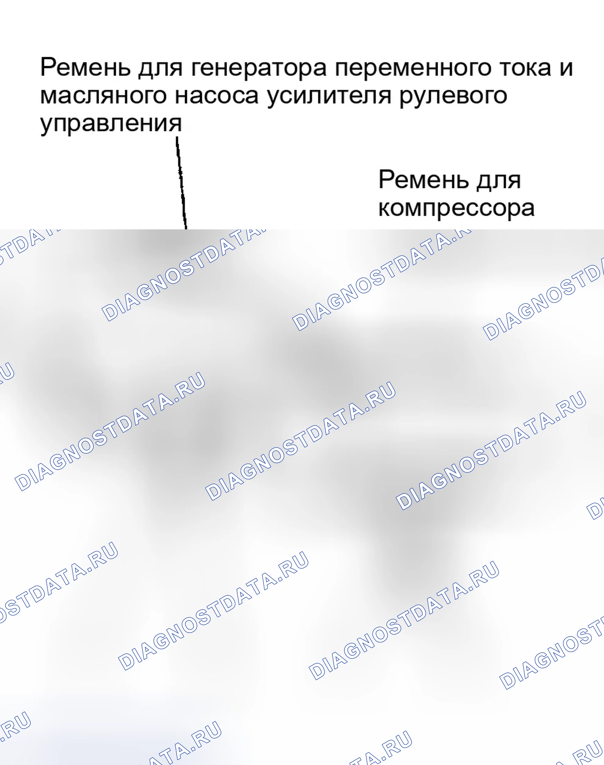 Рис. 309: Ремень масляного насоса генератора переменного тока и усилителя рулевого управления. Infiniti G35 III