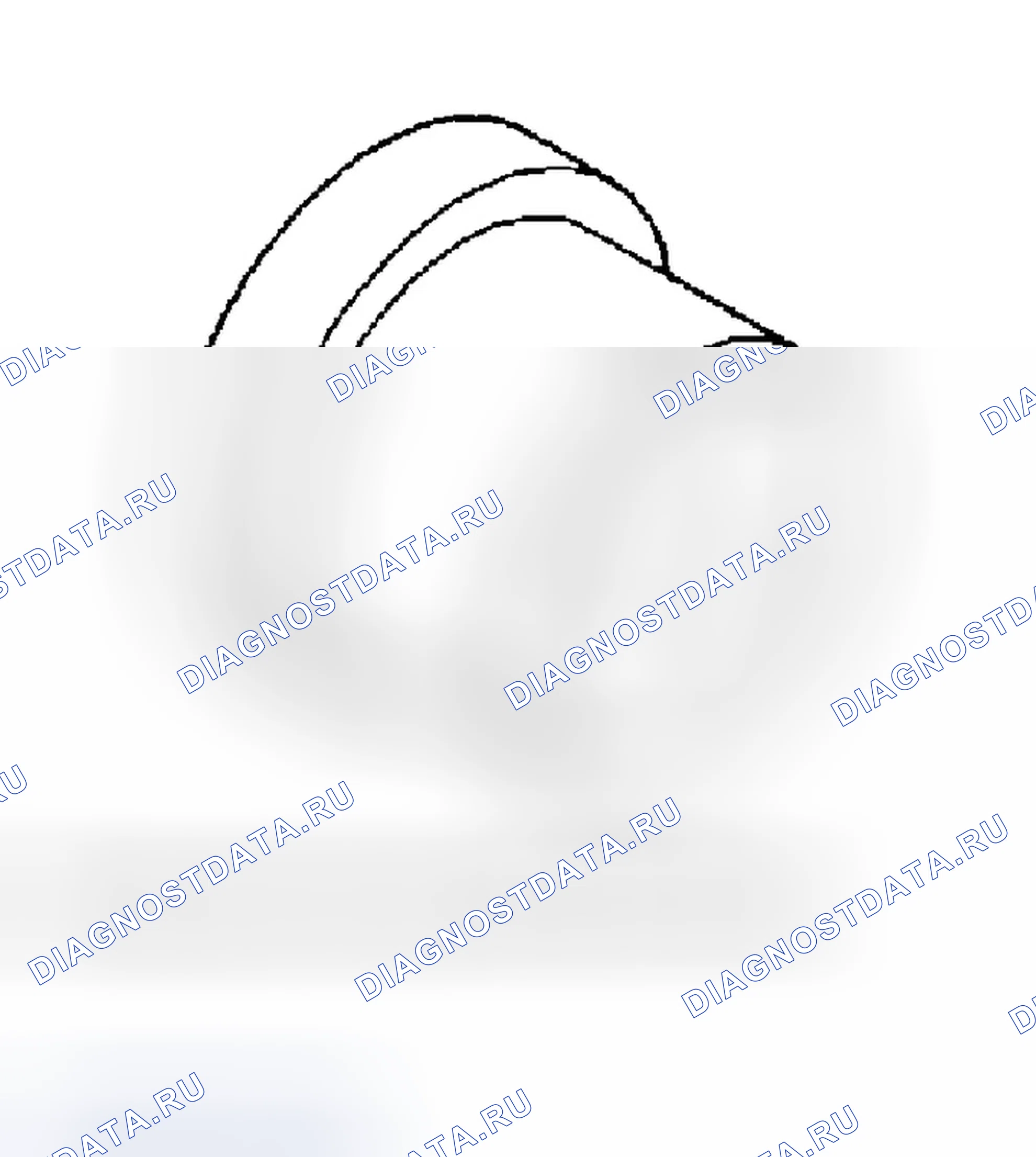 Рис. 315. Dodge Pickup R1500 