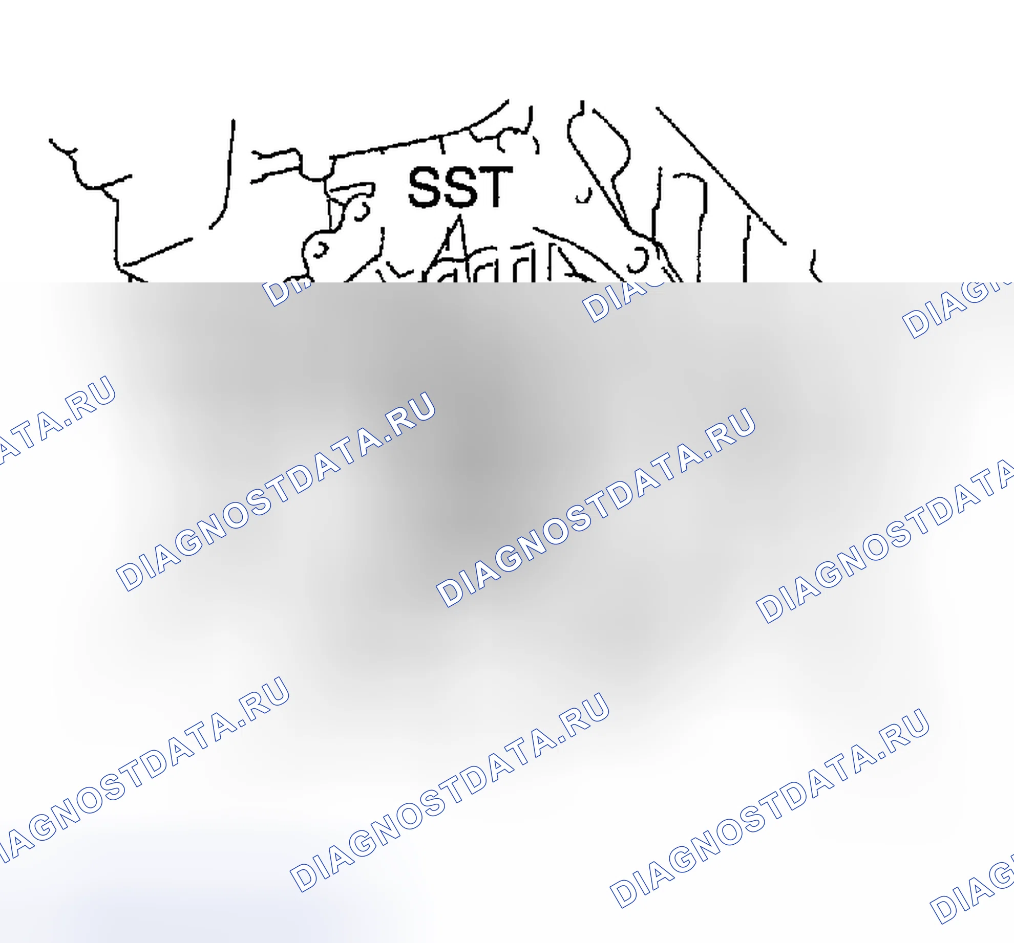 Рис. 271. Toyota MR2 W30