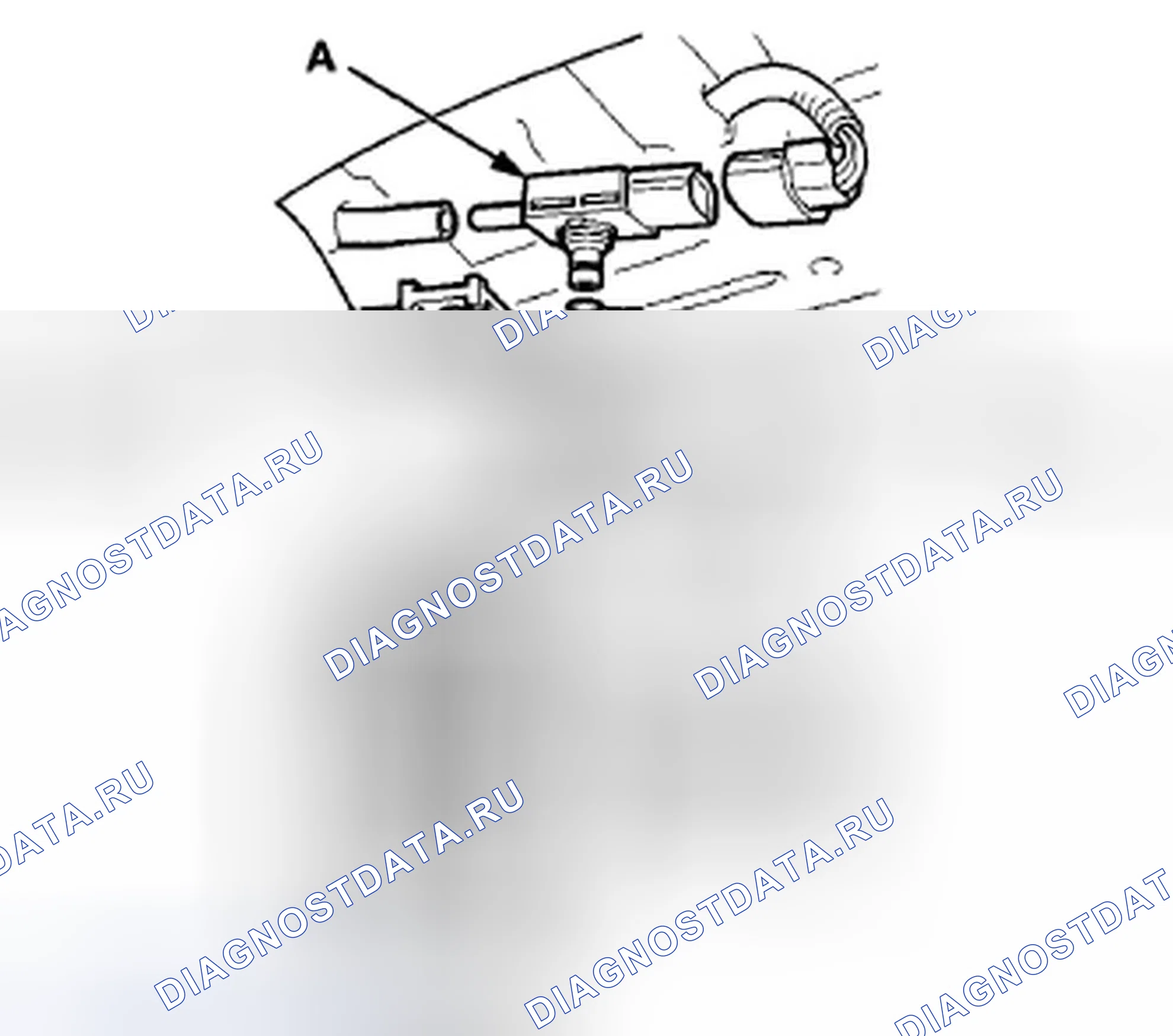 Рис. 1004. Honda Crosstour I
