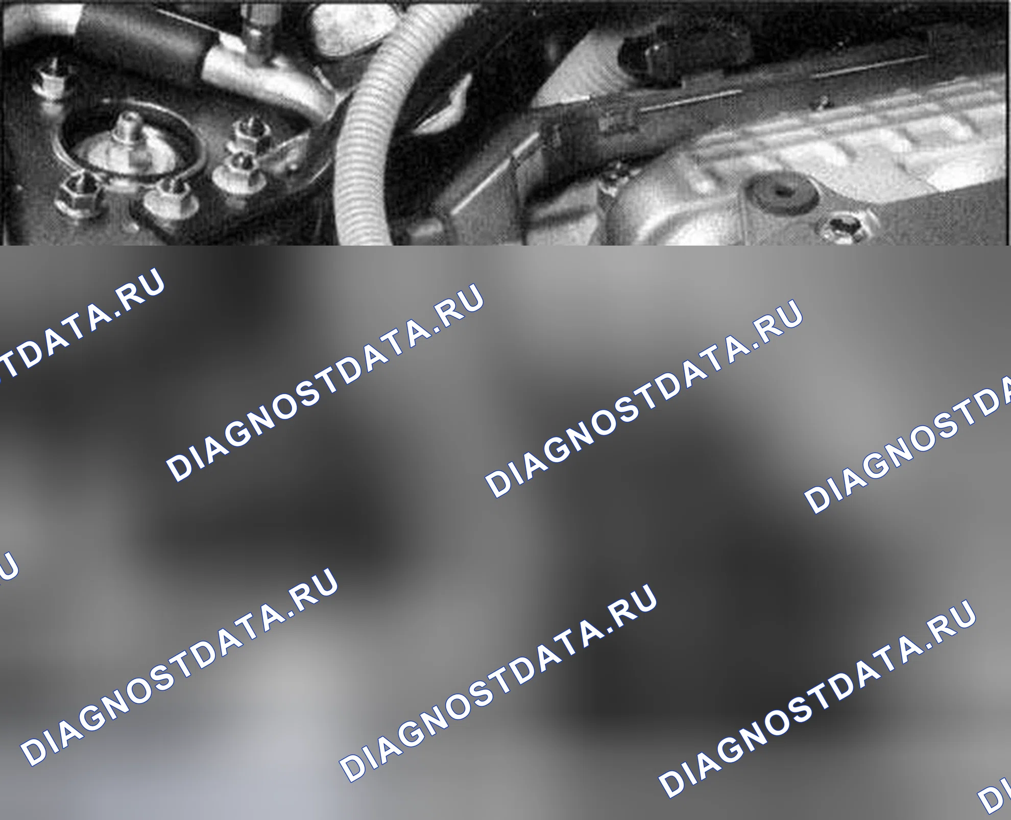 Рис. 7. Honda Accord VII рестайлинг
