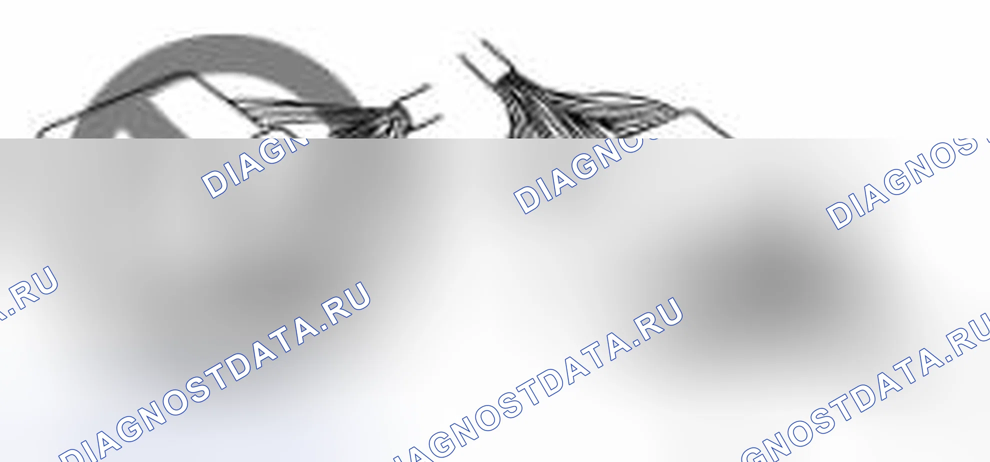 Рис. 45. BMW 6 серия F06/F13/F12