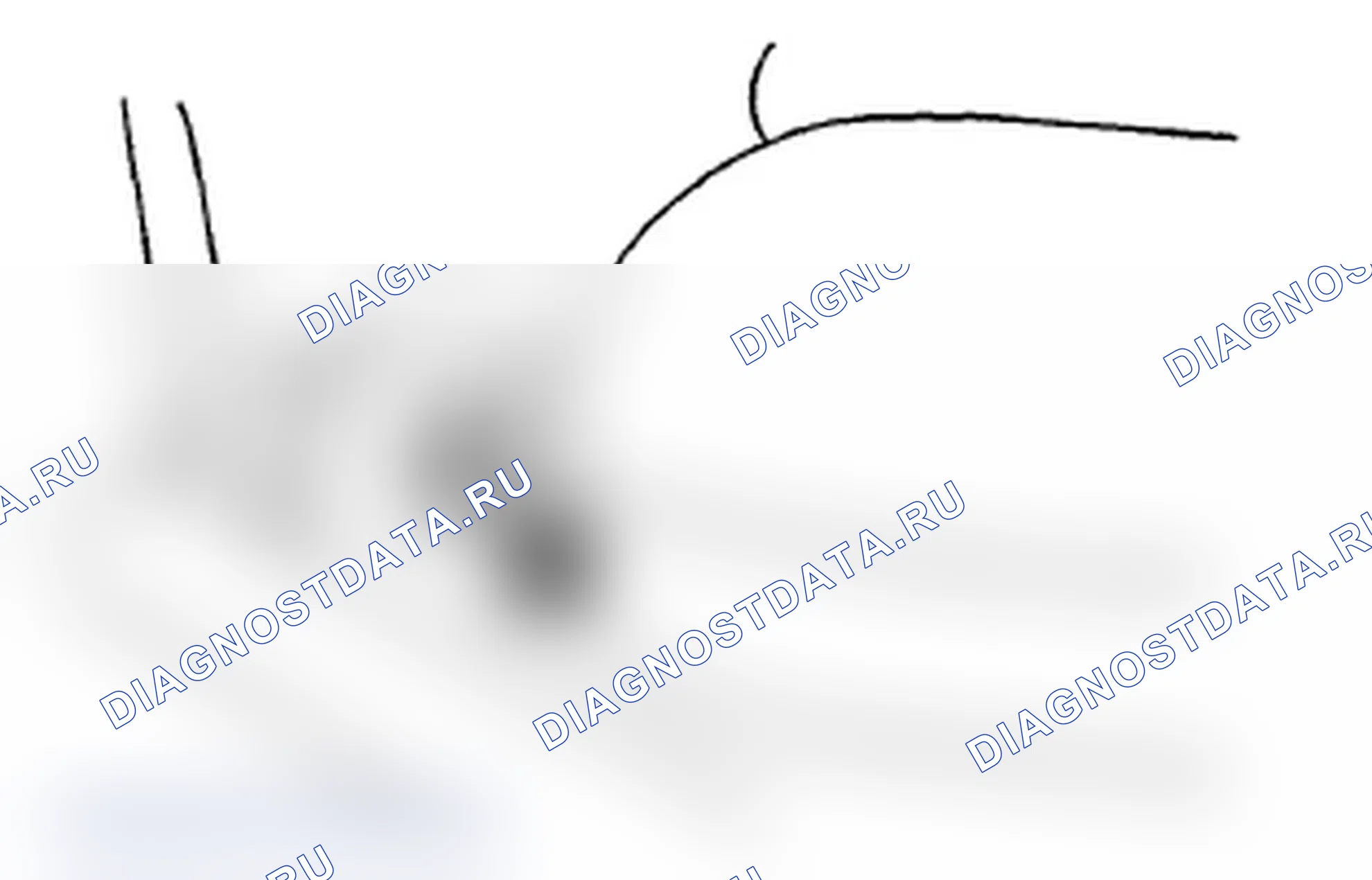 Рис. 39. Subaru Impreza WRX STI GR