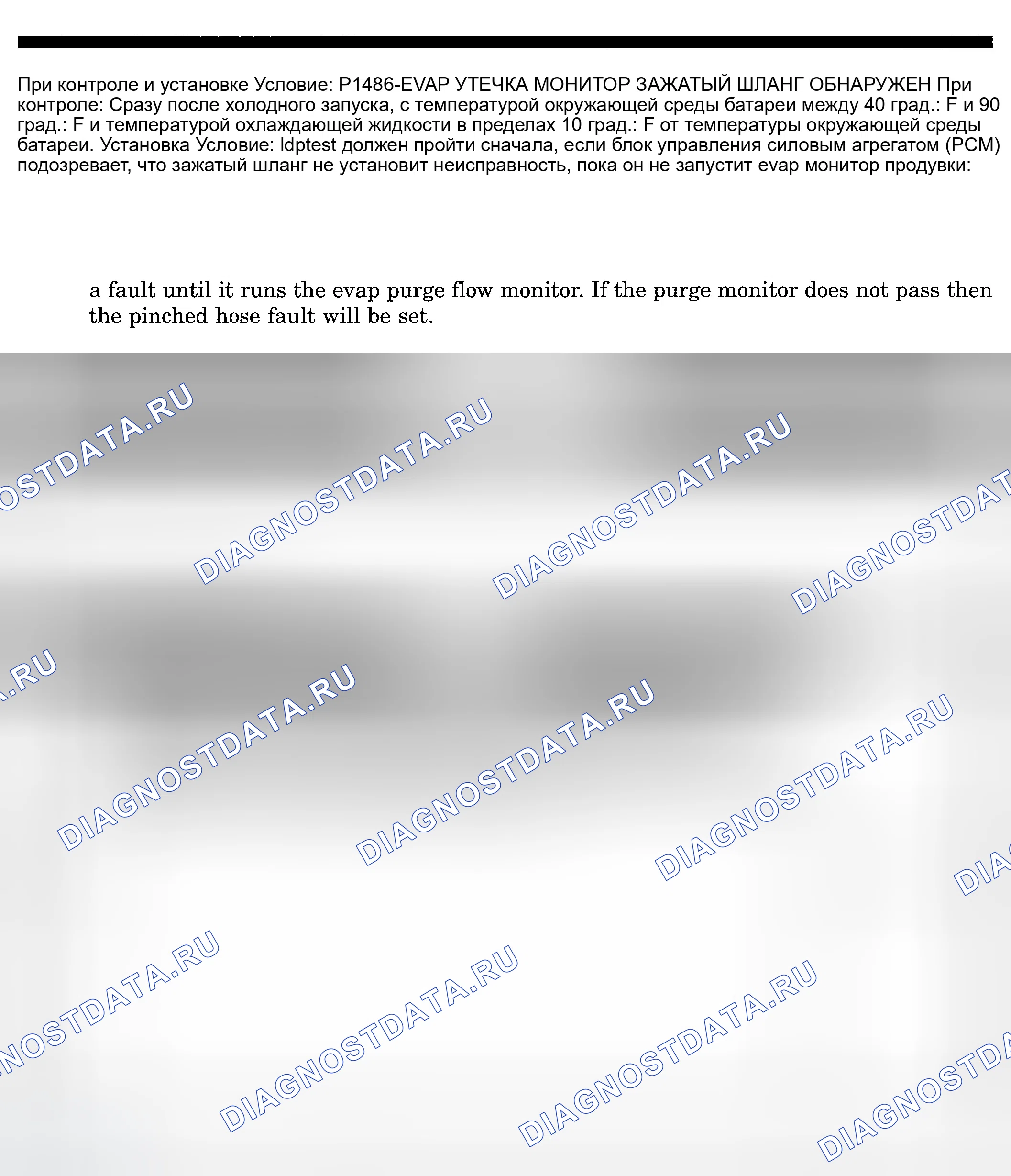Рис. 249: расшифровка кода ошибки P1486: ОБНАРУЖЕН ЗАЖАТЫЙ ШЛАНГ EVAP LEAK контроль. Dodge Pickup R1500 