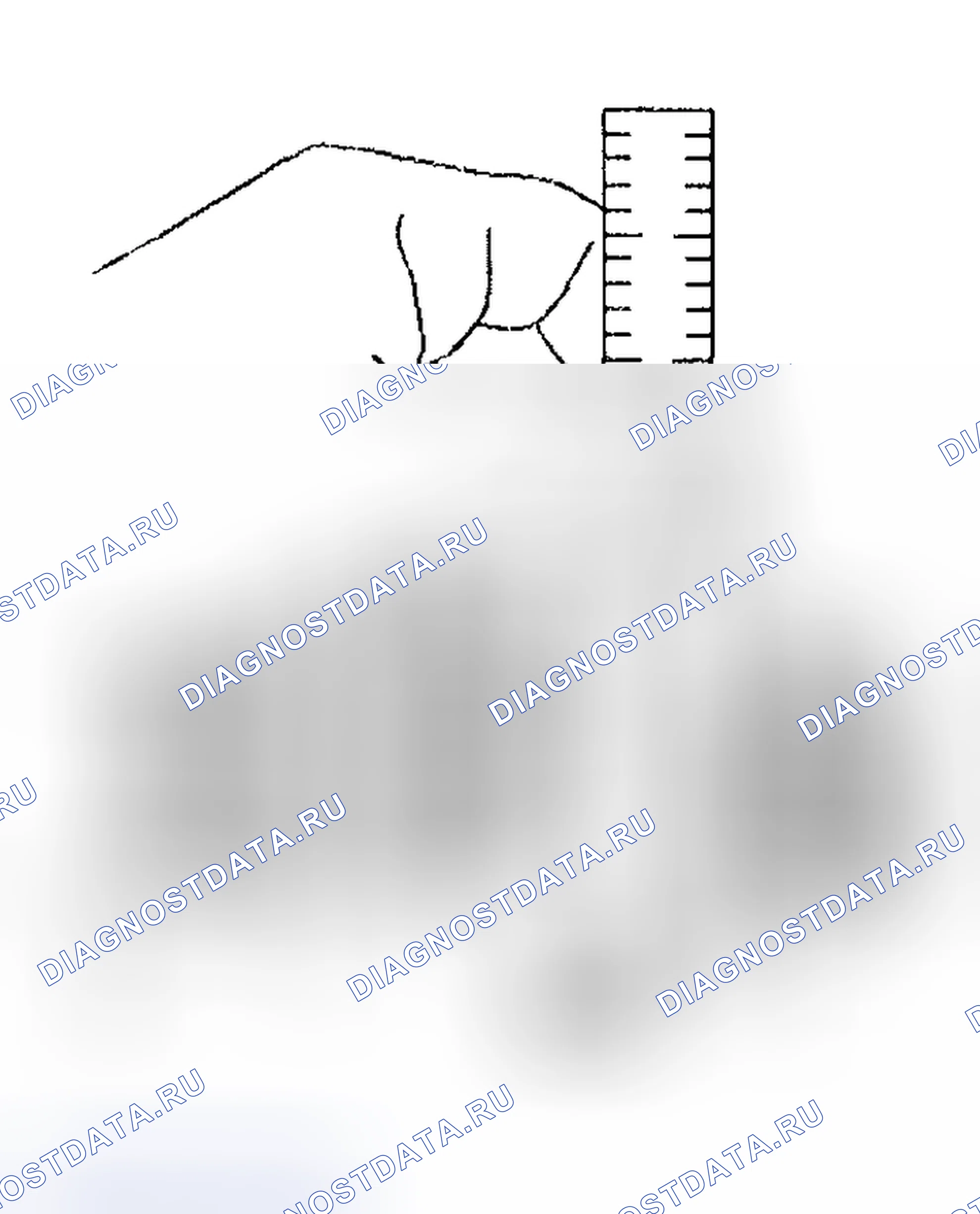 Рис. 29. GMC C3500 HD GMT400 final