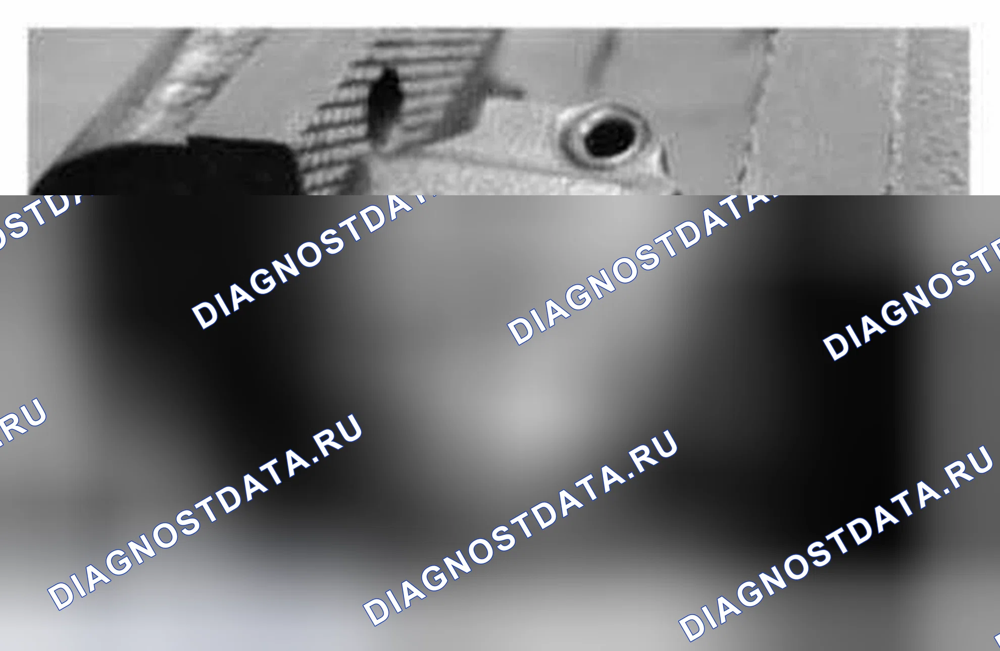 Рис. 1168. Ford Mustang V рестайлинг