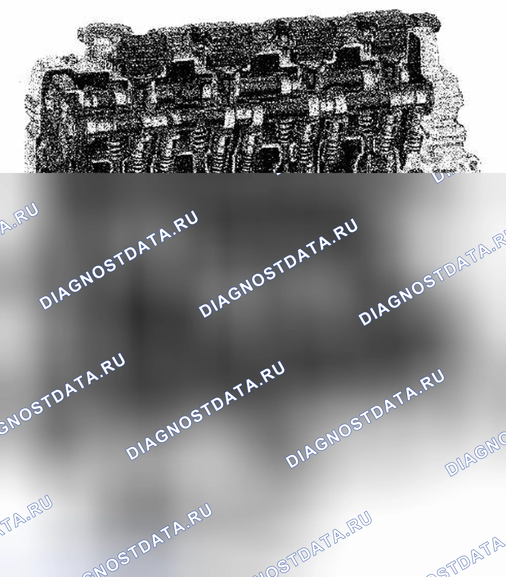 Рис. 121: Двигателестроение. Suzuki SX4 I