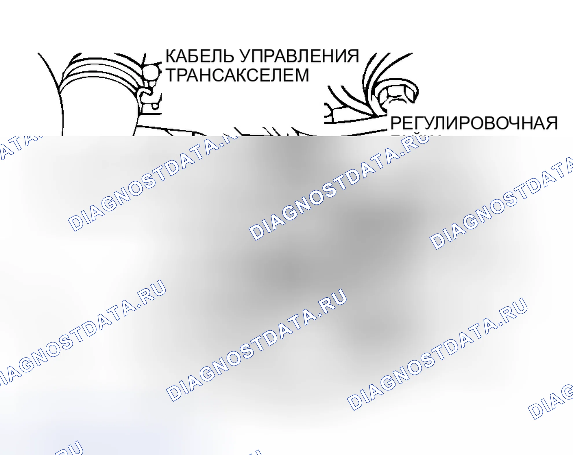 Рис. 319: ПЕРЕКЛЮЧАТЕЛЬ ДИАПАЗОНА ПЕРЕДАЧИ И РЕГУЛИРОВКА ТРОСА УПРАВЛЕНИЯ. Honda e:NS1 I