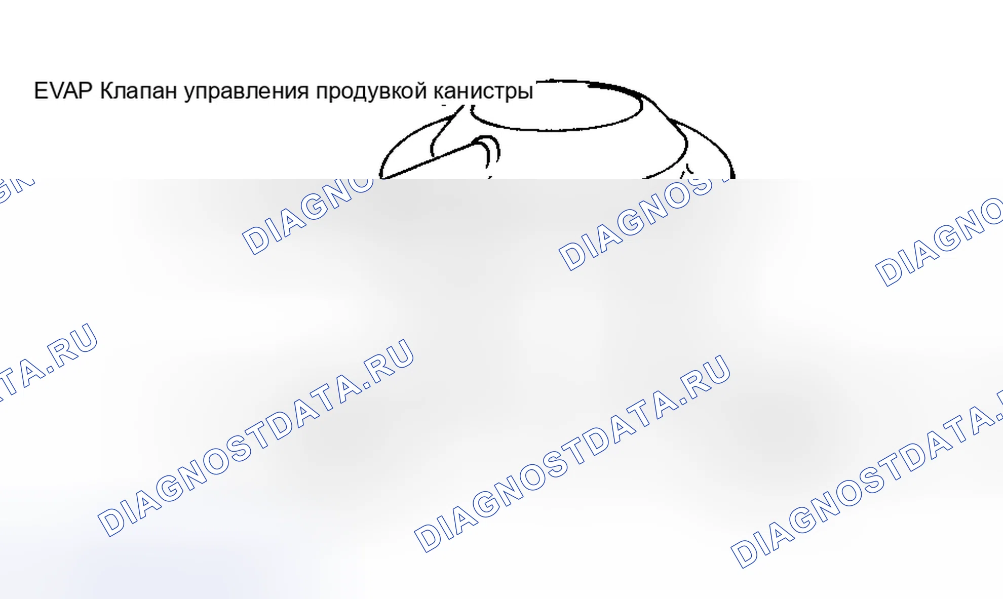 Рис. 17. Nissan Maxima A32