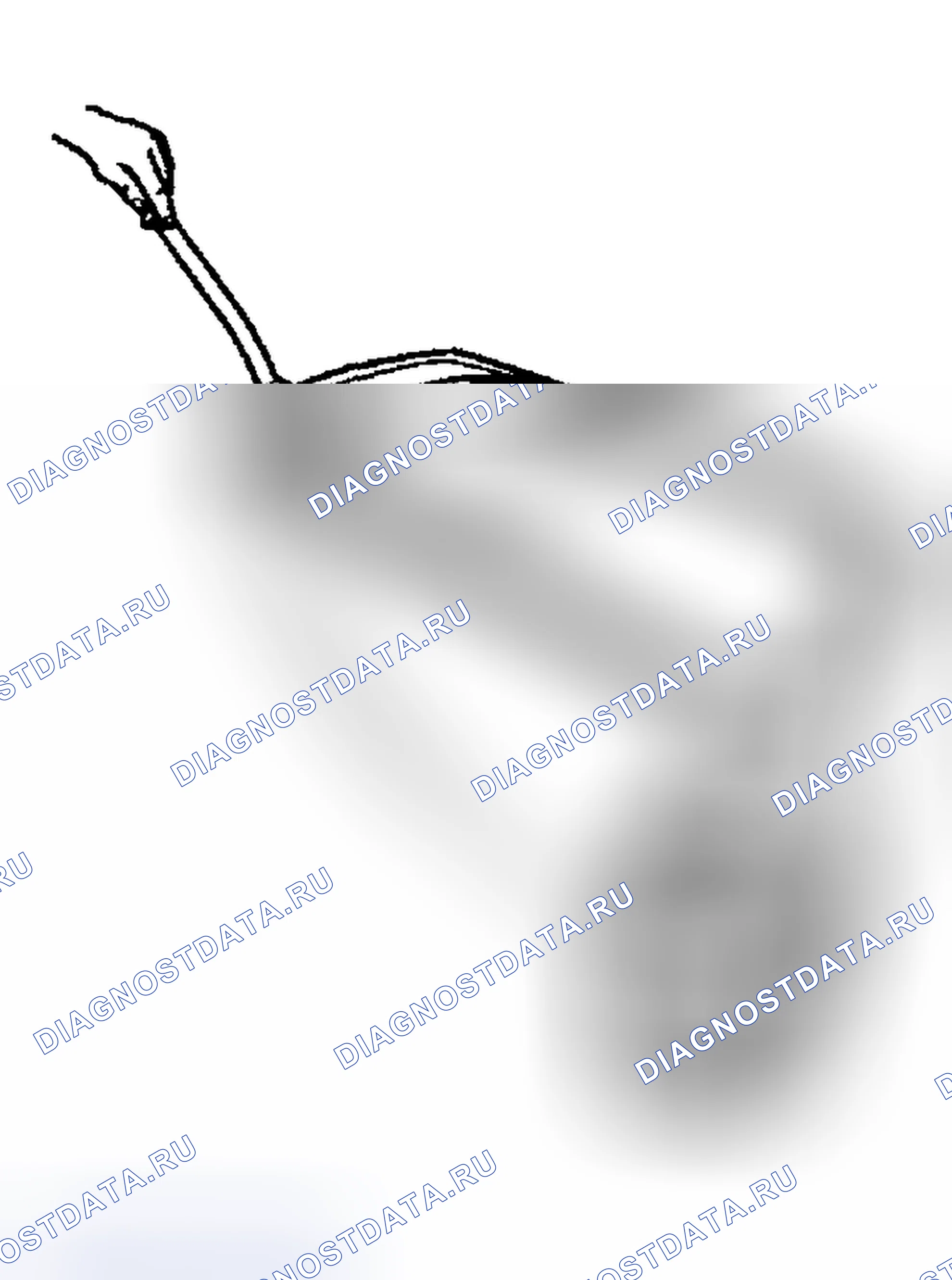 Рис. 16. Hyundai Tiburon II