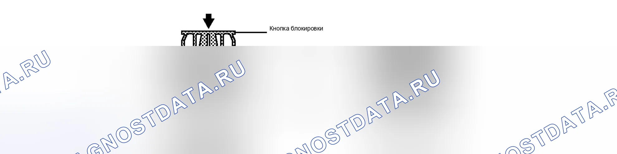 Рис. 203. Lexus IS F I