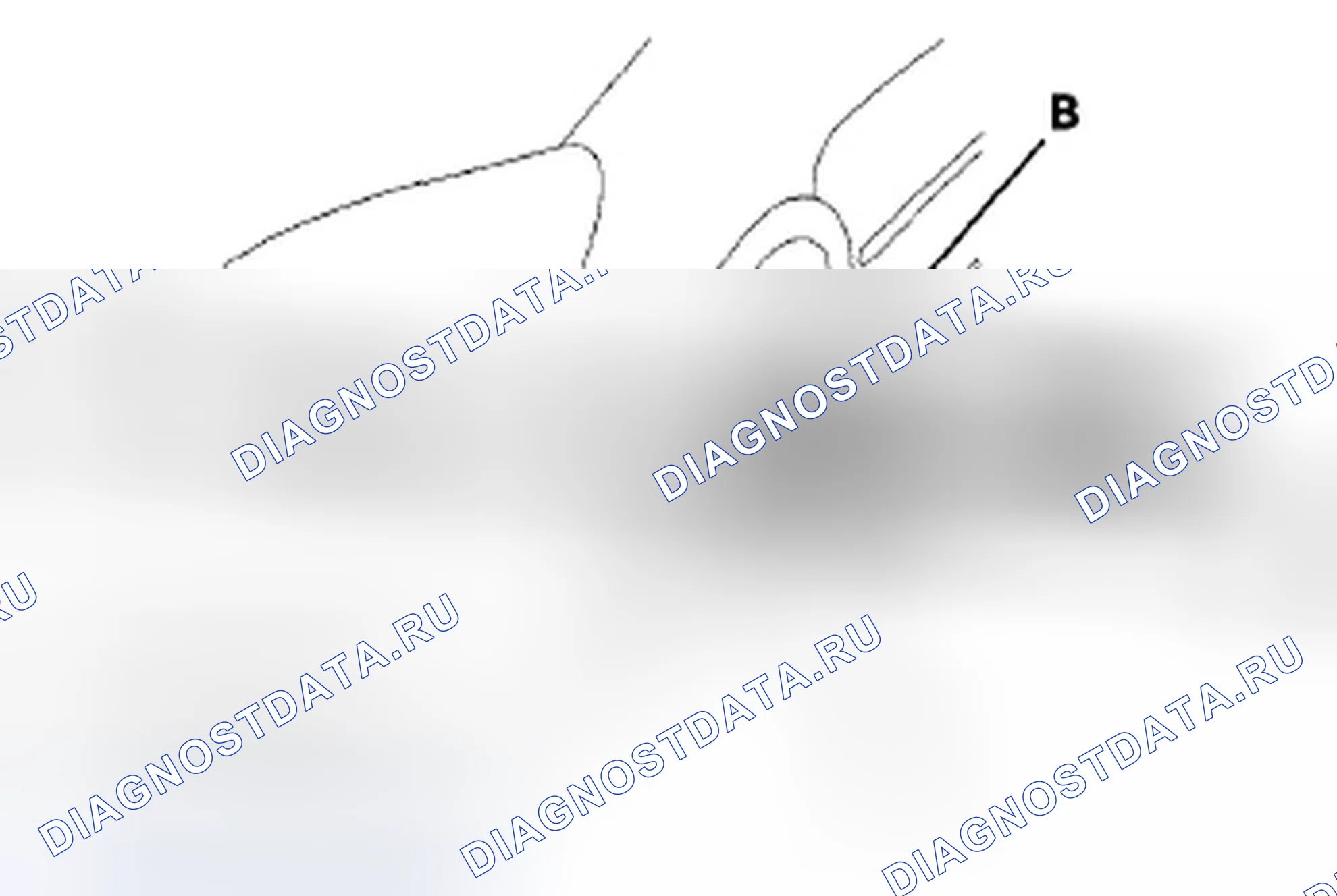Рис. 81. Honda Odyssey IV