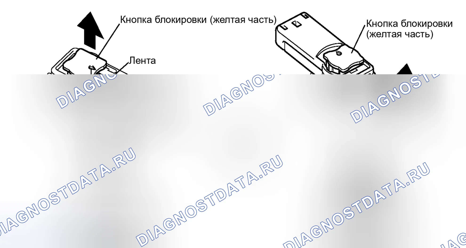 Рис. 206. Lexus IS F I