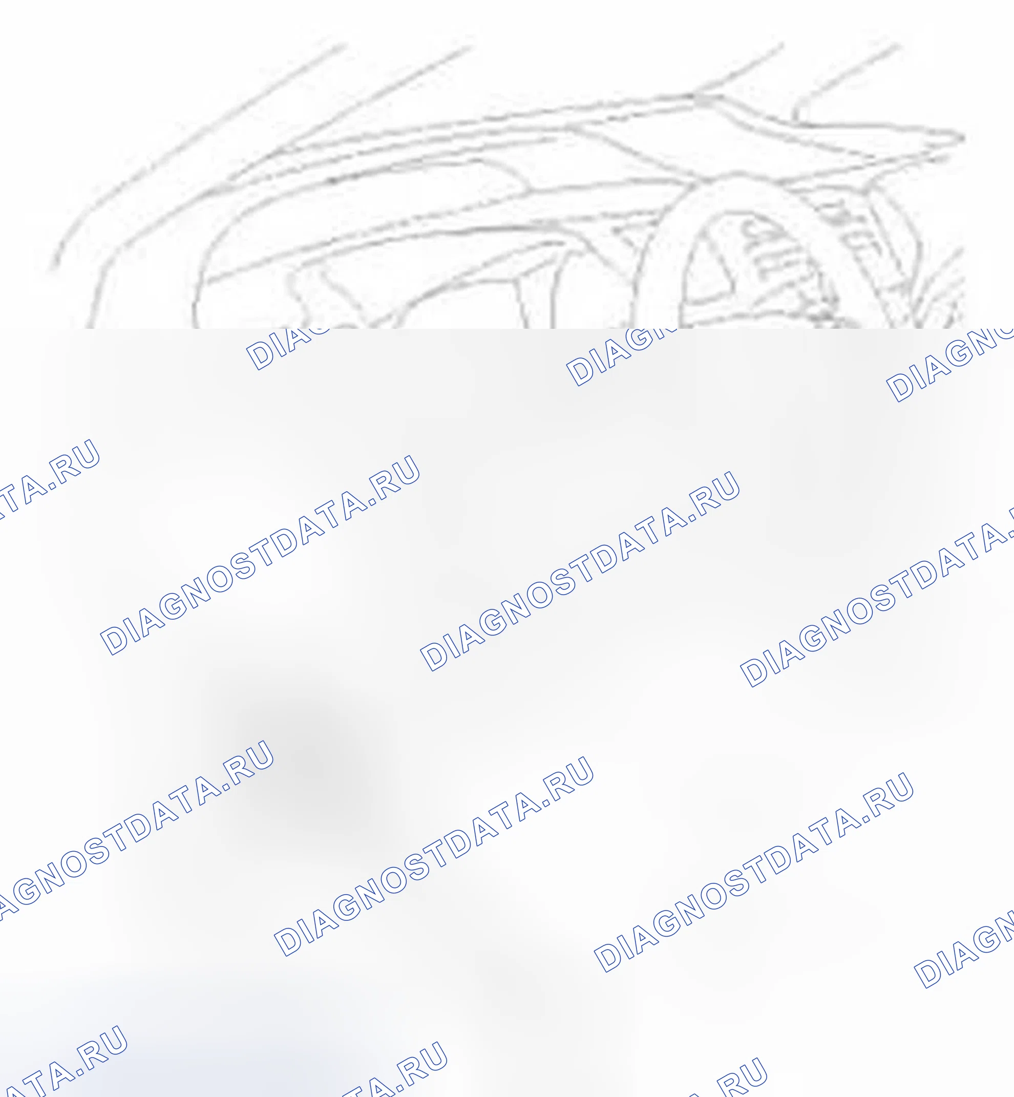 Рис. 1035. Honda Civic IX