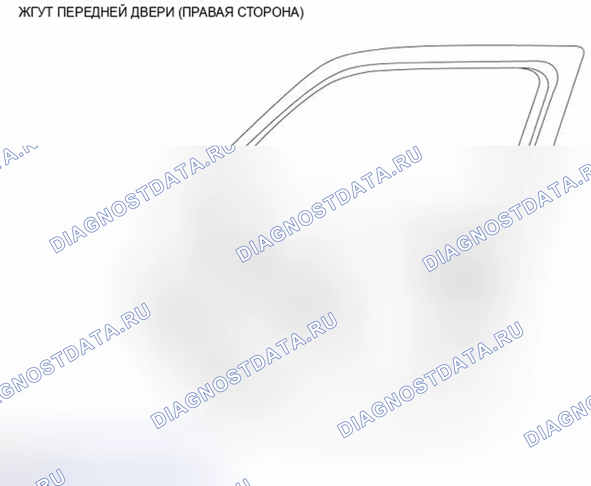 Рис. 37: ЖГУТ ПЕРЕДНЕЙ ДВЕРИ (ПРАВАЯ СТОРОНА). BMW 4 серия F32/F33 рестайлинг