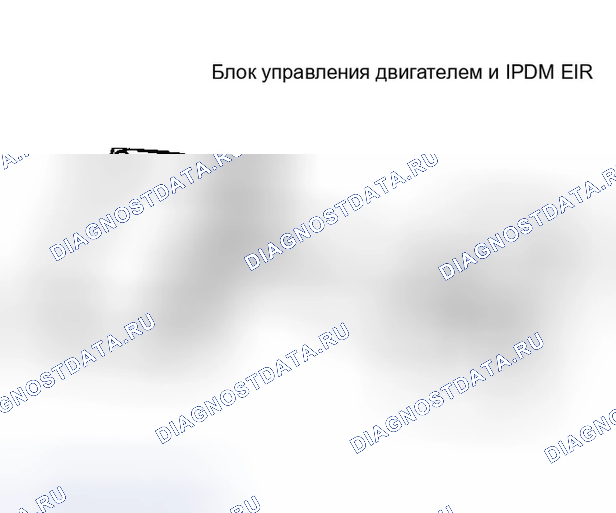 Рис. 729: ПРОВЕРКА ВНУТРЕННЕЙ ЦЕПИ блок управления двигателем / IPDM E / R. Infiniti G35 III