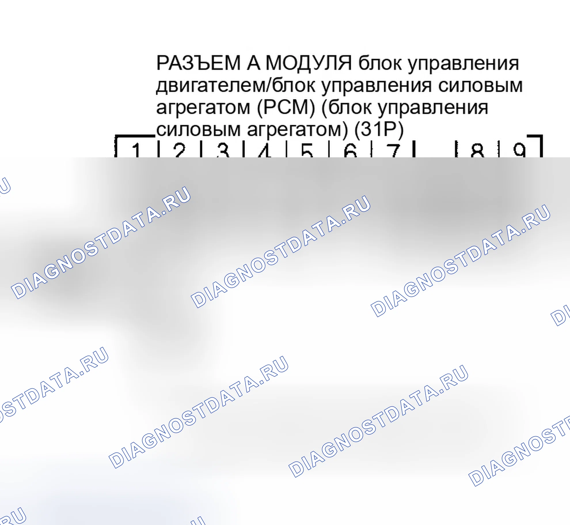 Рис. 65. Honda Element YH2