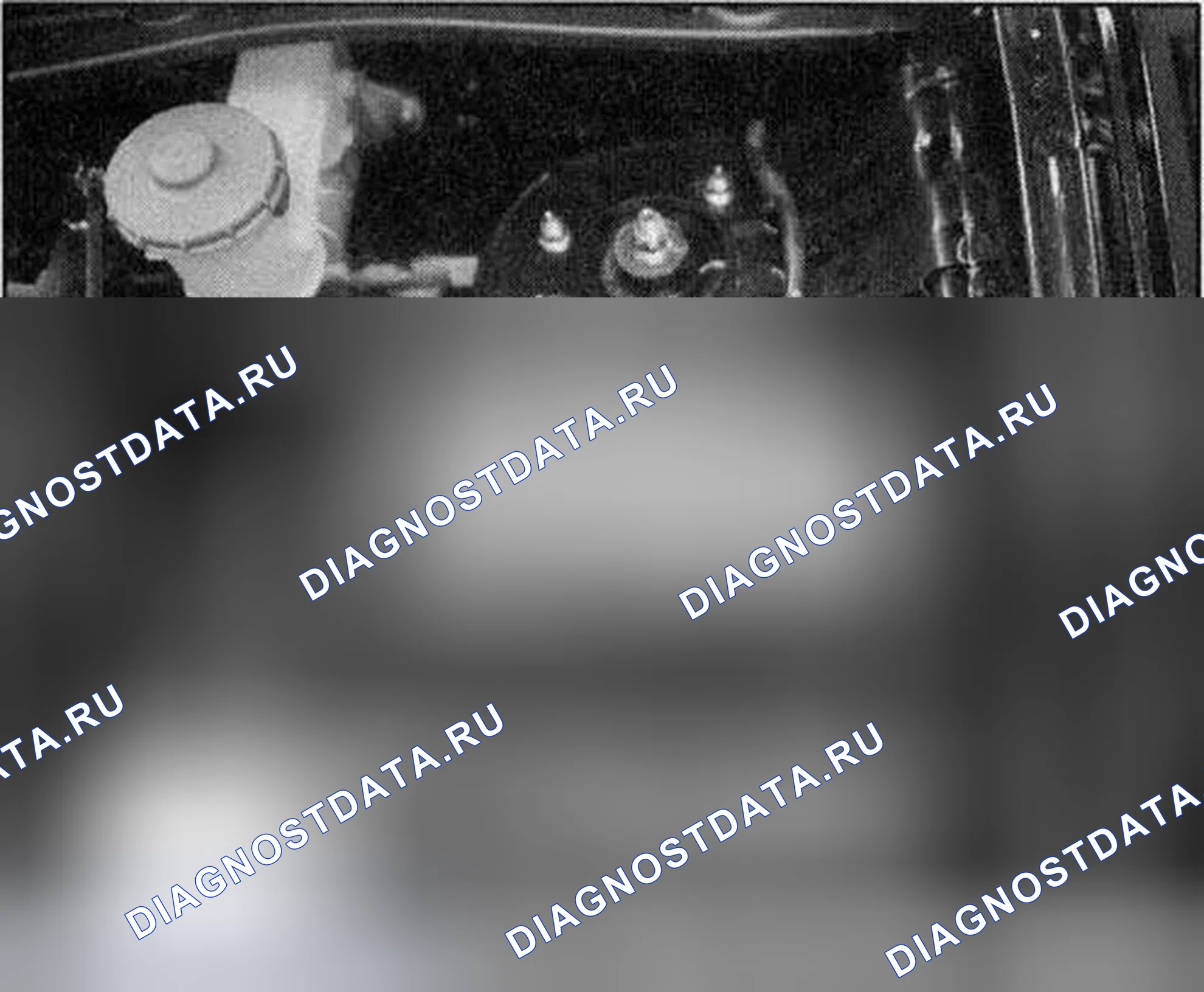 Рис. 5. Honda Element YH2 рестайлинг