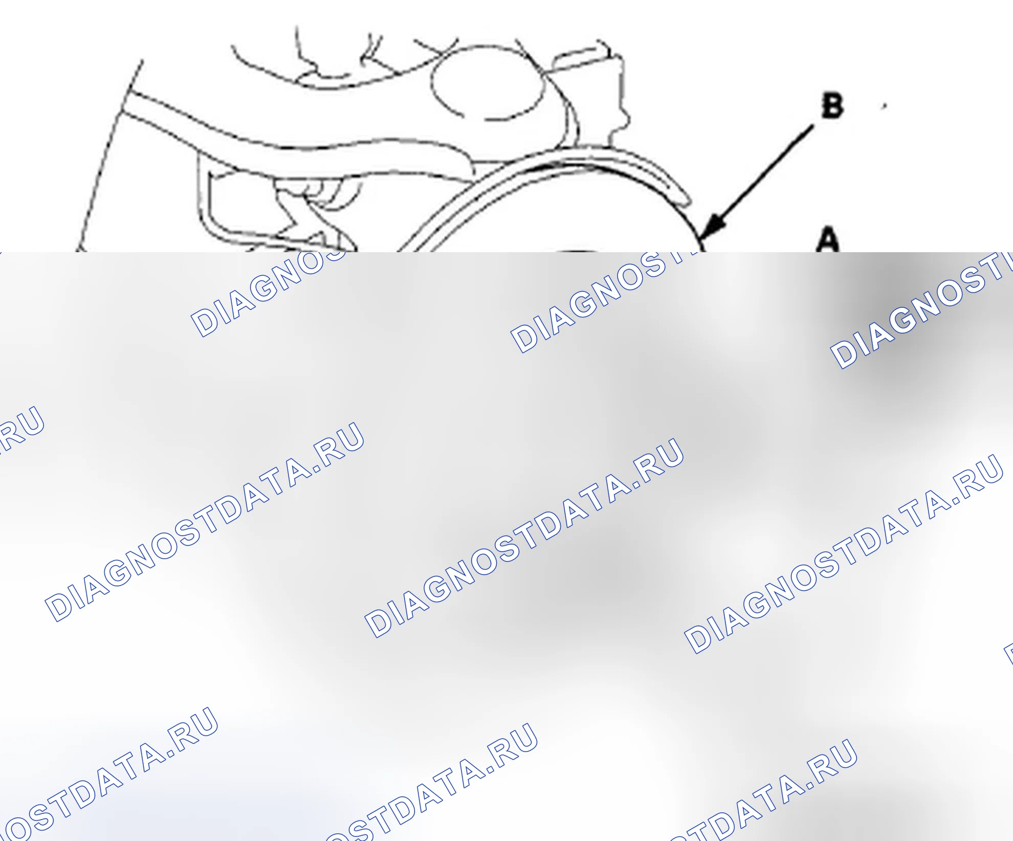 Рис. 119. Honda Accord VIII рестайлинг