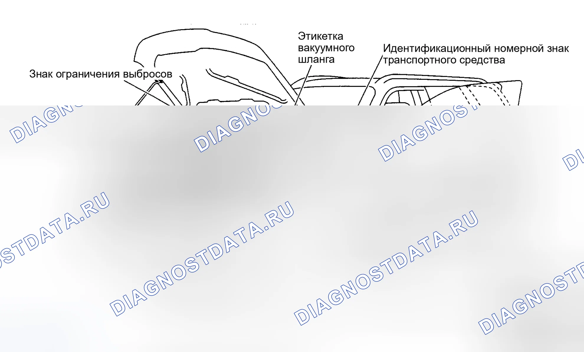 Рис. 1: ИДЕНТИФИКАЦИОННЫЕ НОМЕРА И РАСПОЛОЖЕНИЕ ЭТИКЕТОК. Subaru Forester SG