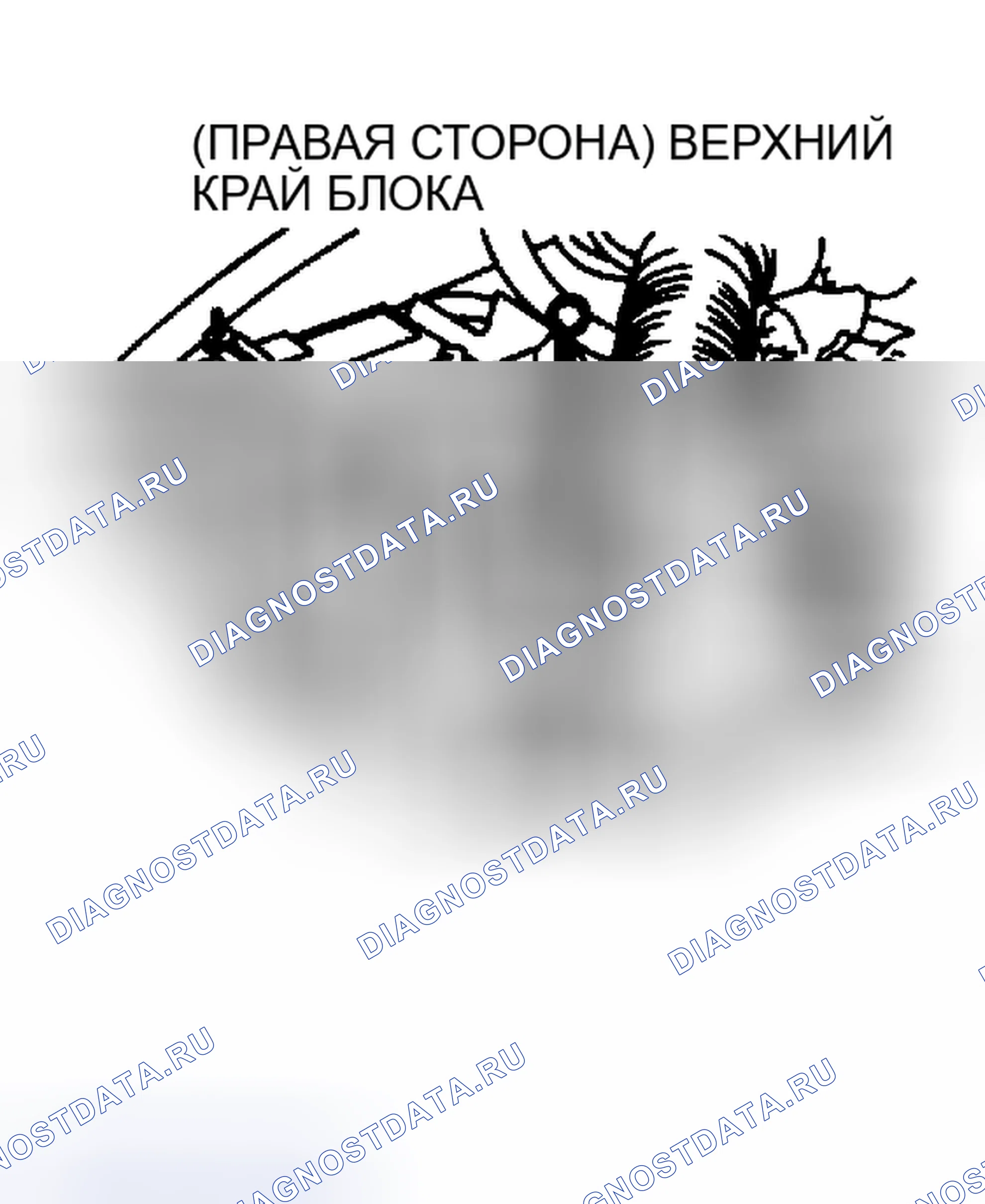 Рис. 5: Расположение кода двигателя (Montero, Sigma, Raider 3.0L). Mitsubishi Galant VI