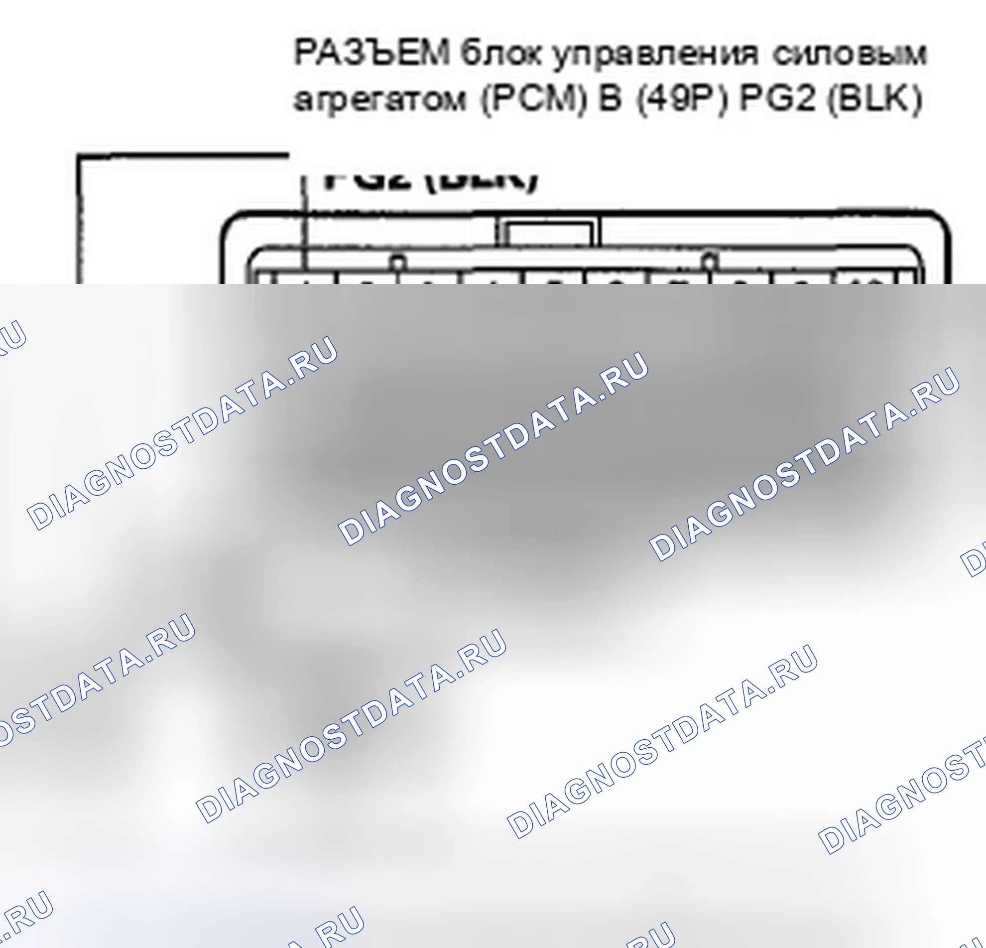 Рис. 427. Honda Crosstour I